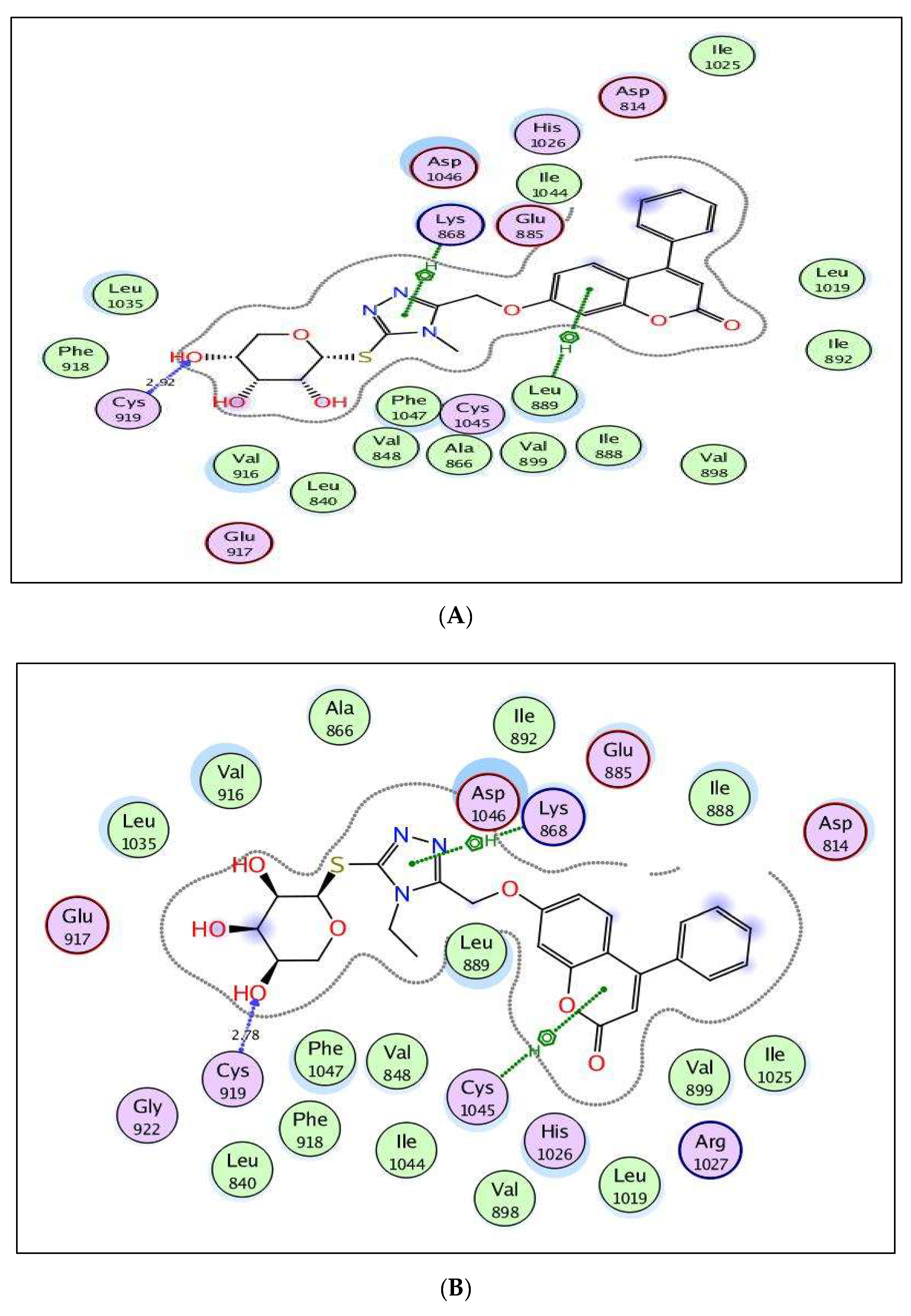 Molecules 27 05688 g007a