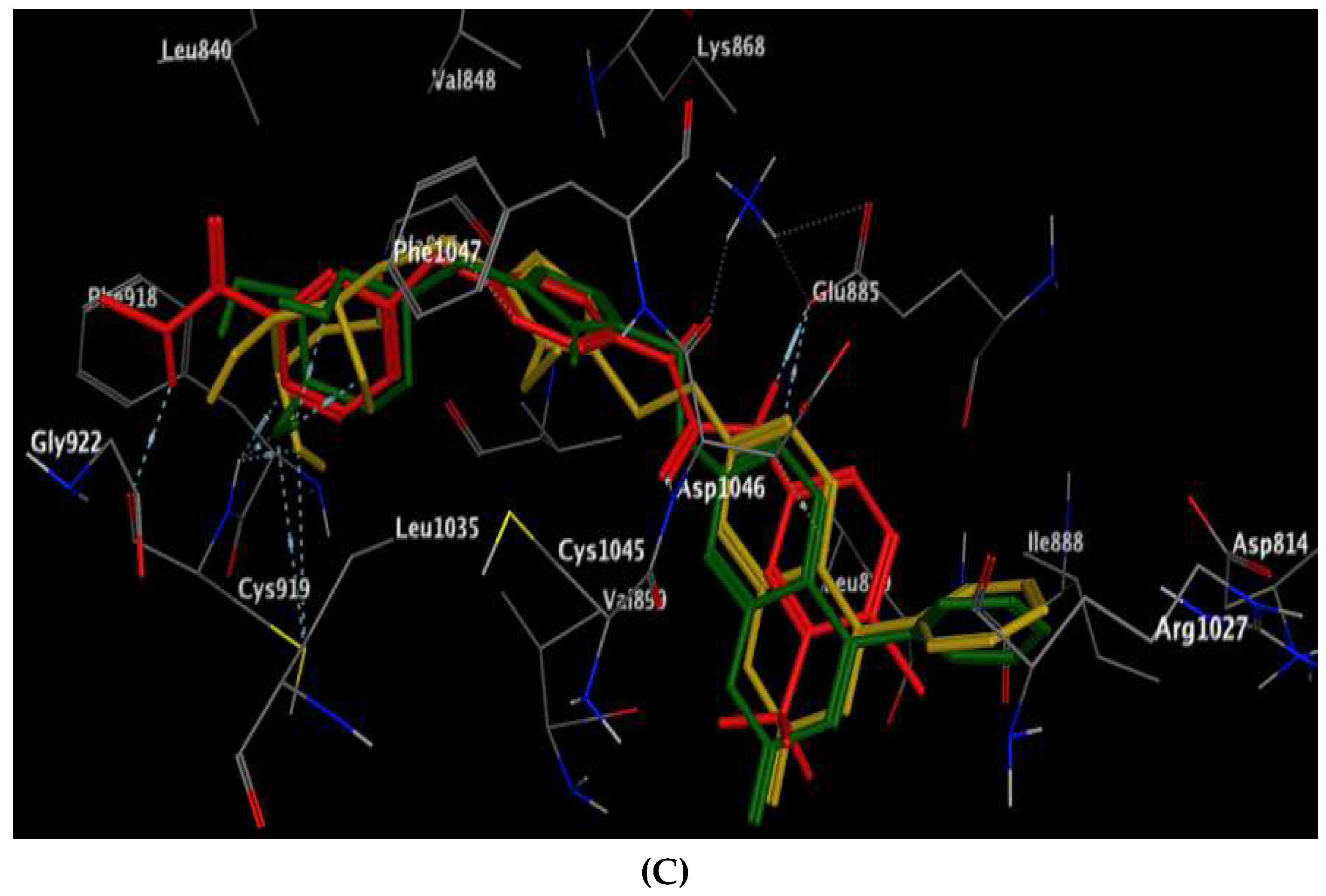 Molecules 27 05688 g007b