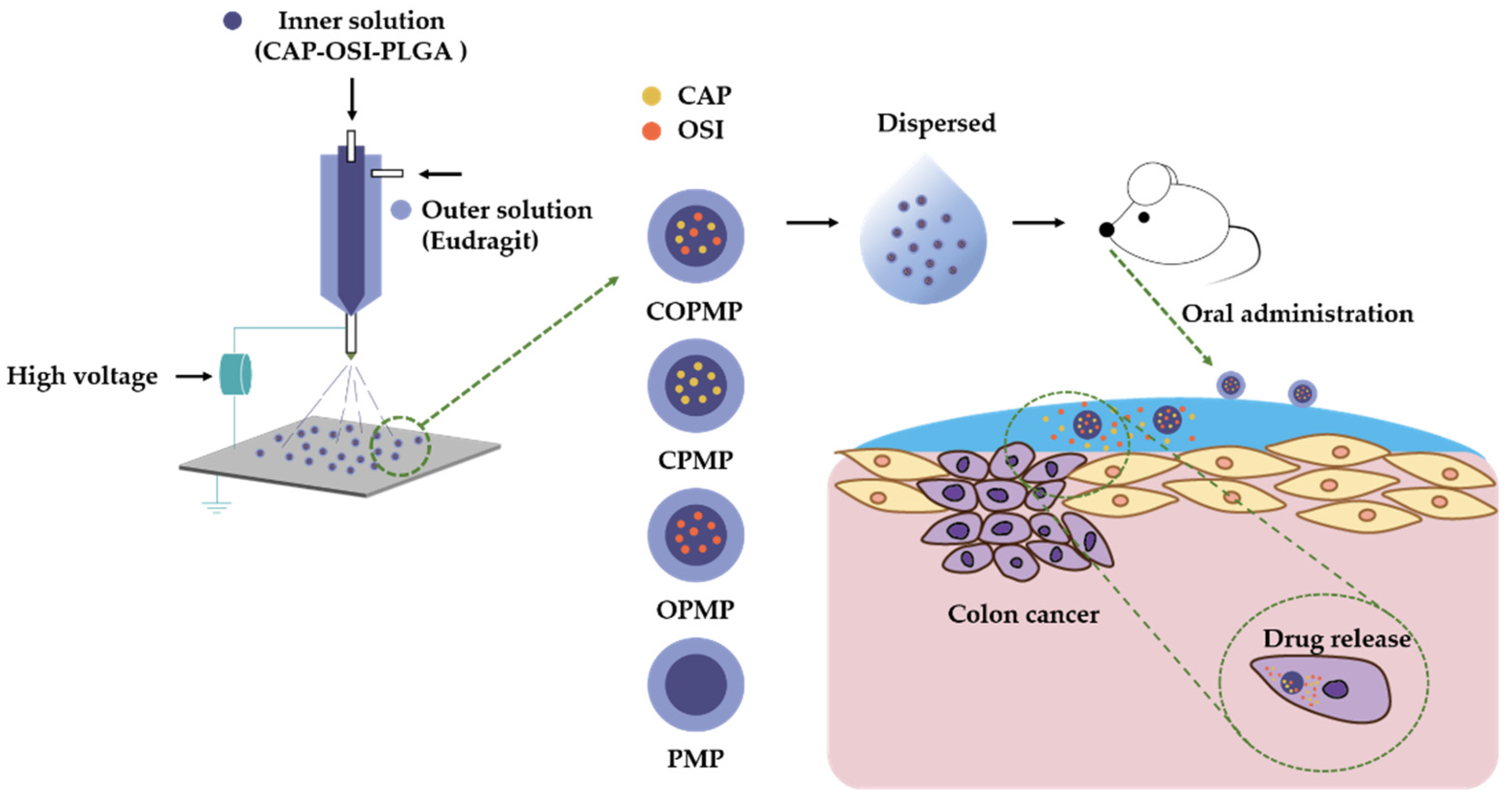 Molecules 27 05690 g001 550