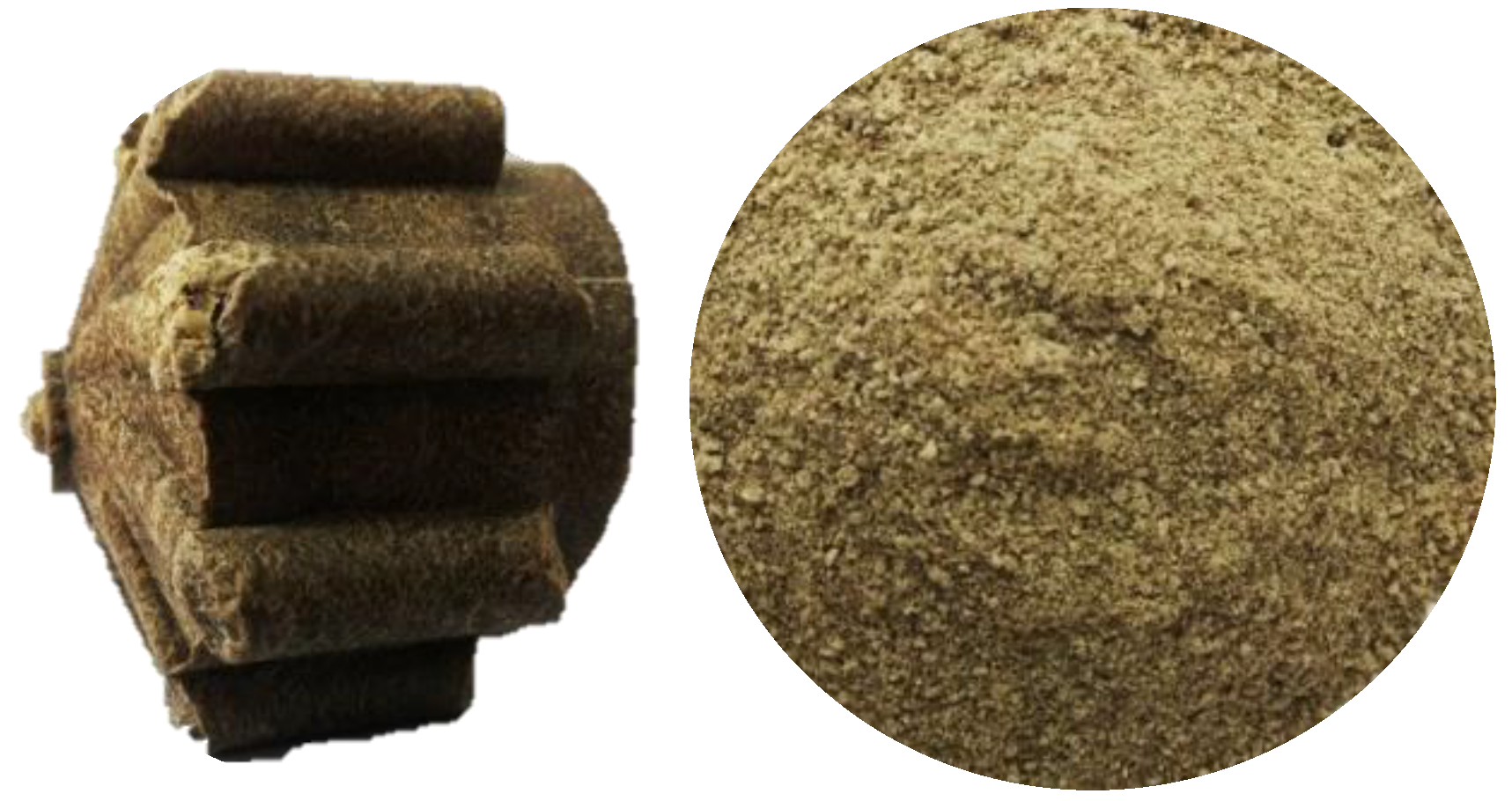 Molecules 27 05704 g001