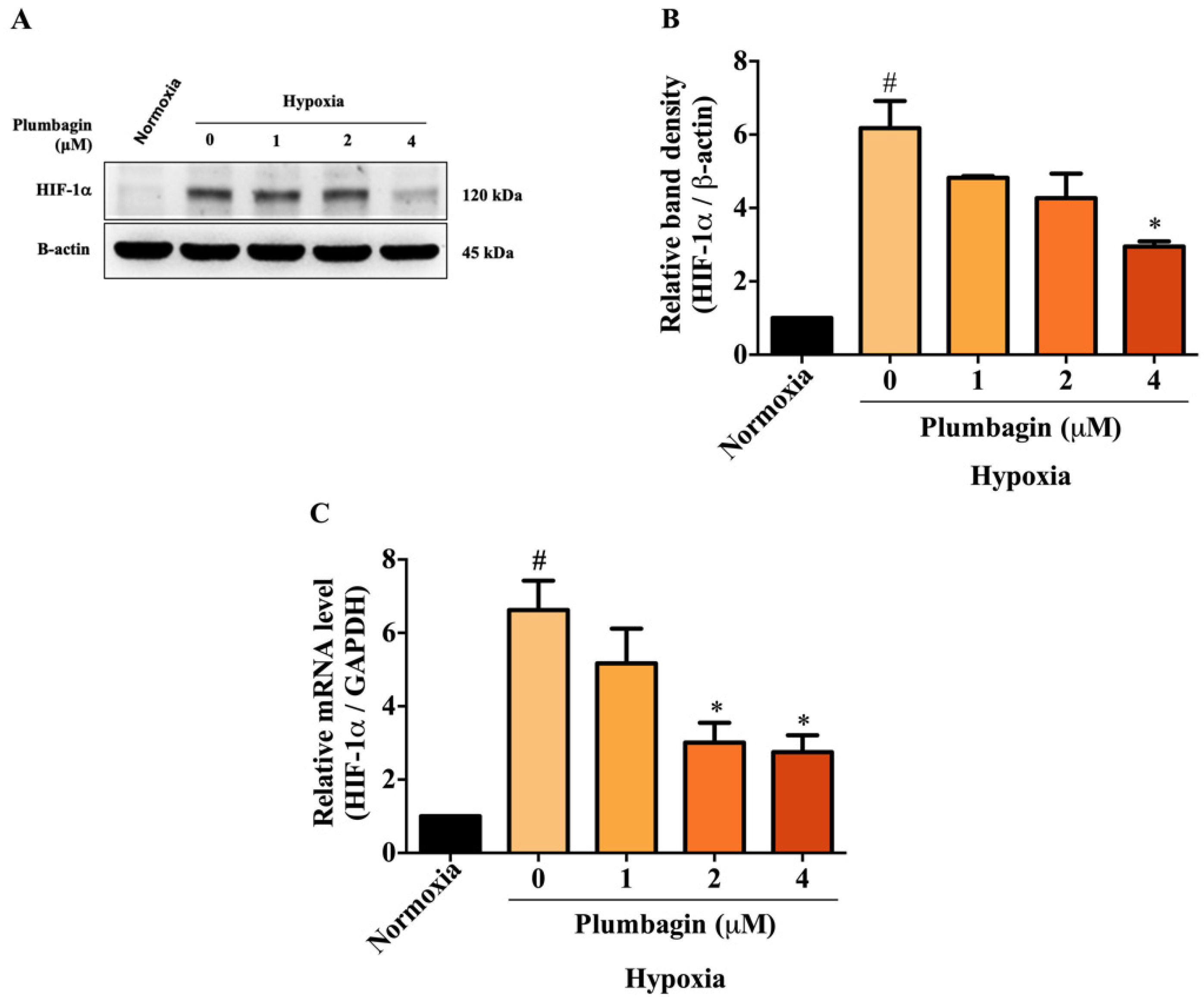 Molecules 27 05716 g004