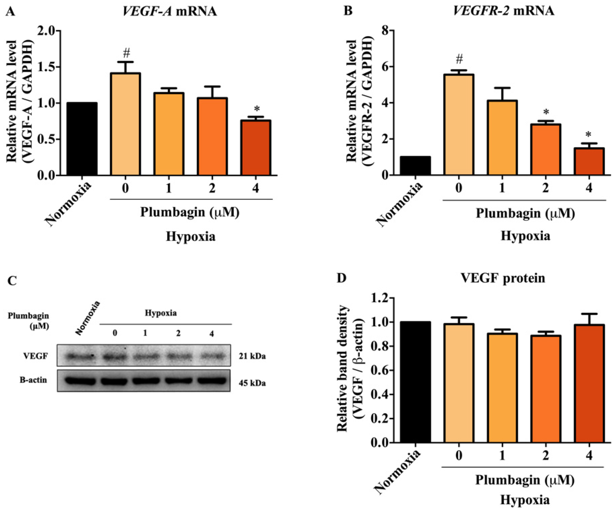 Molecules 27 05716 g005
