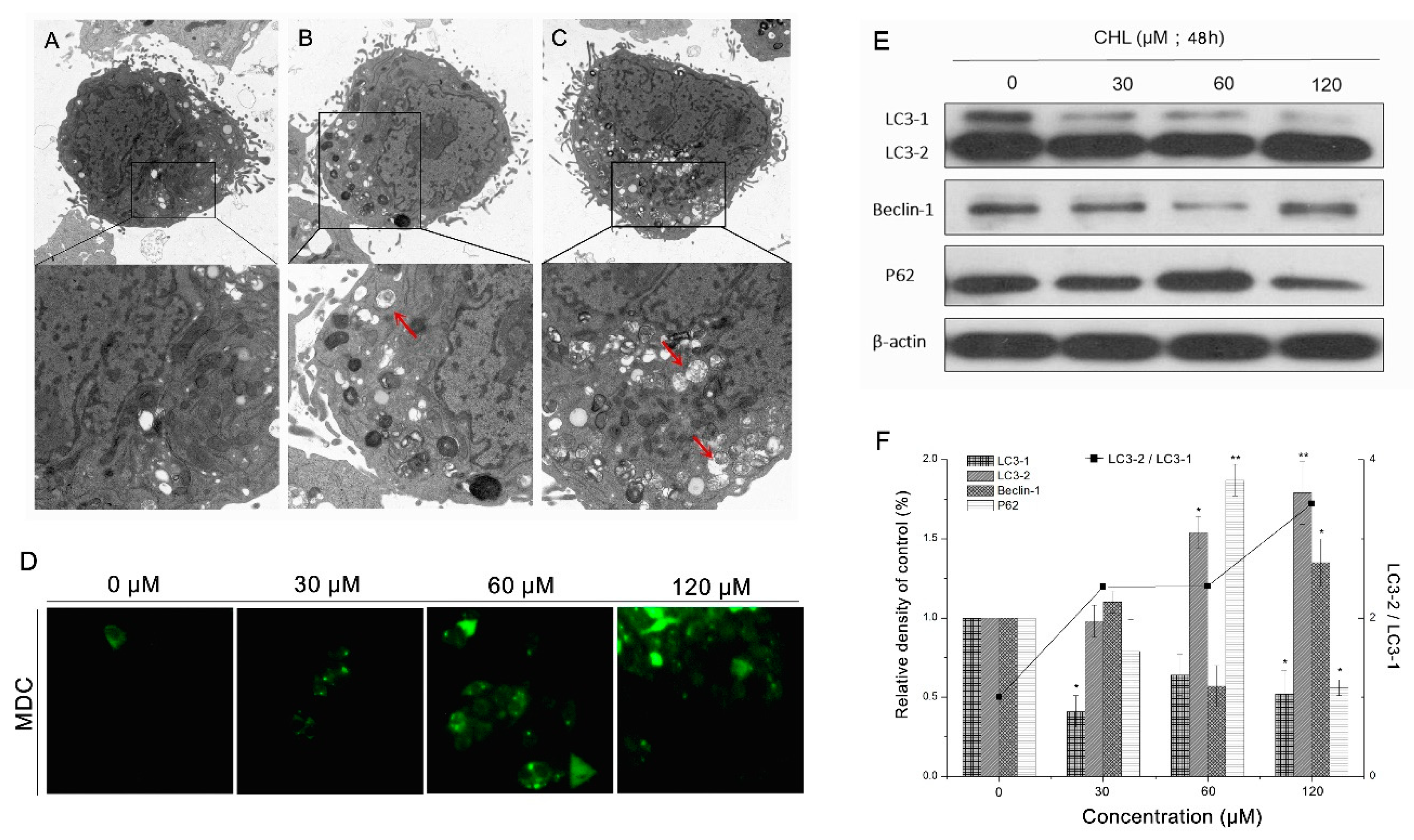 Molecules 27 05722 g006
