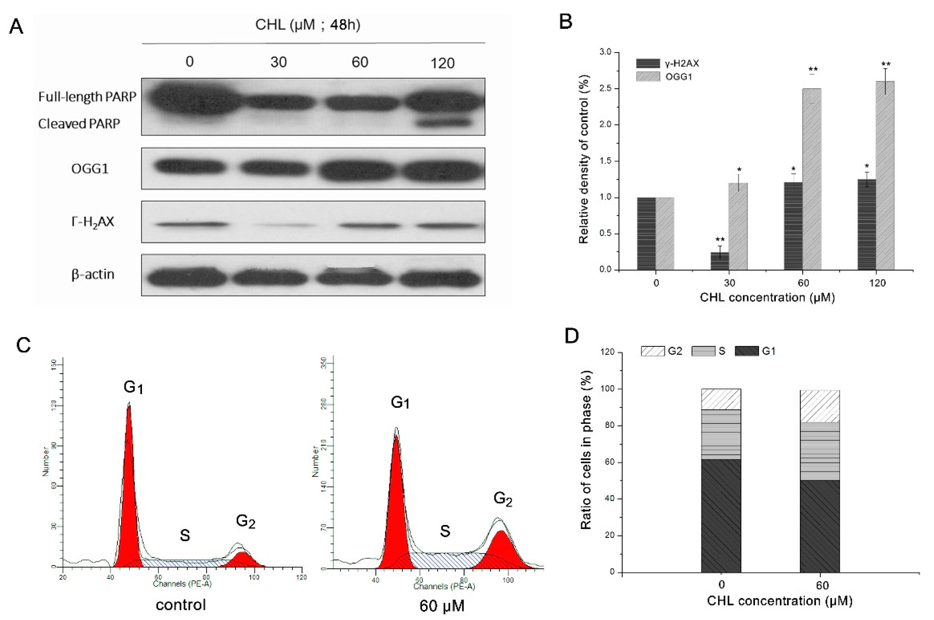 Molecules 27 05722 g008