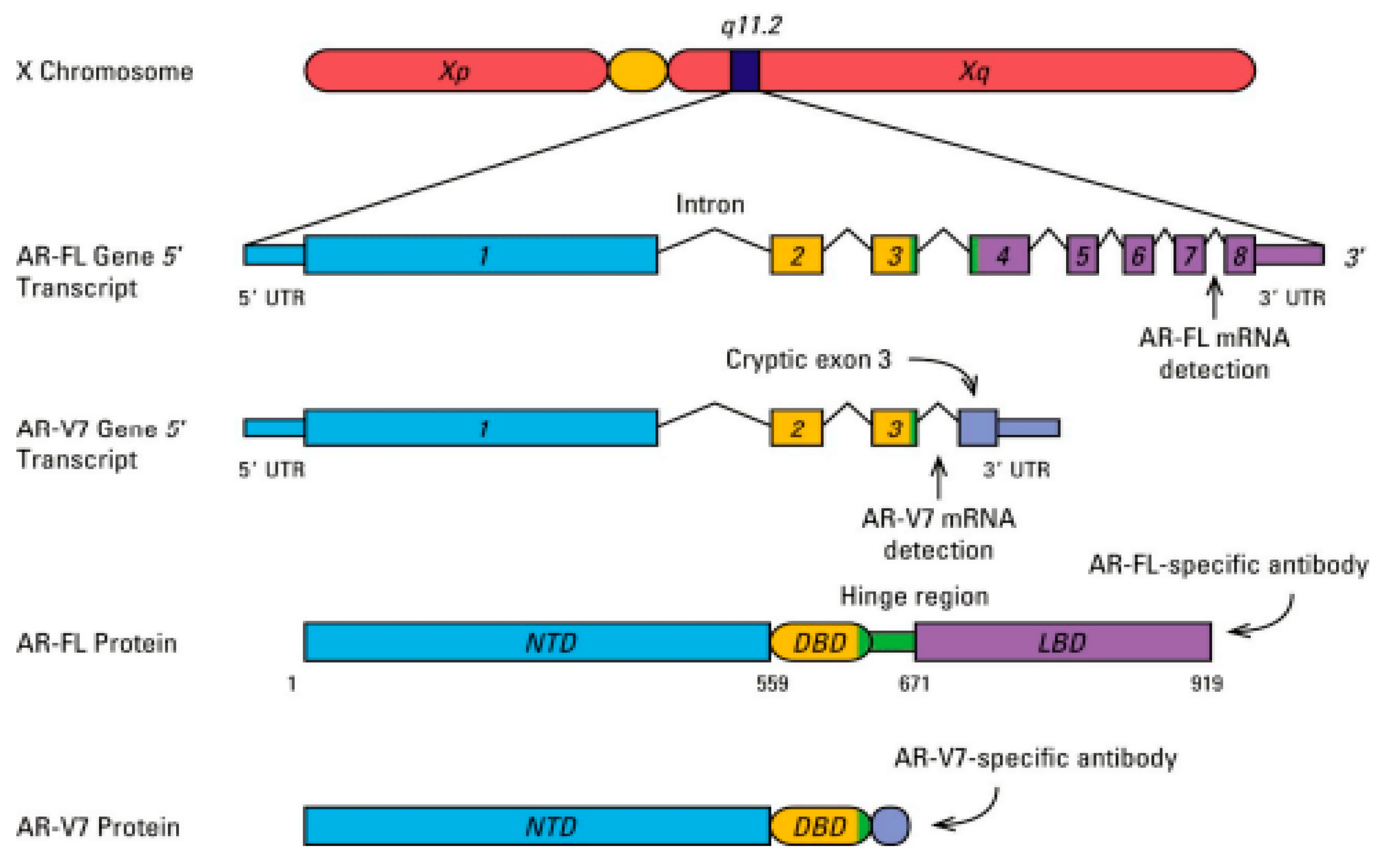 Molecules 27 05730 g003 Molecules 27 05730 g003