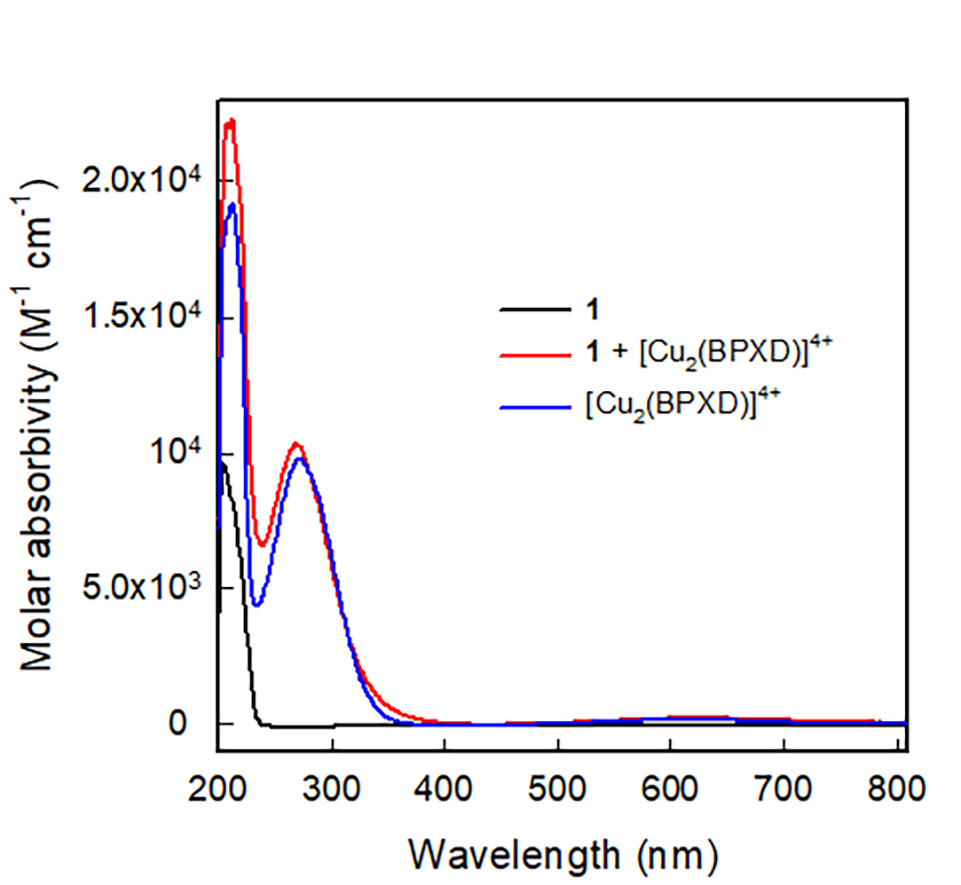 Molecules 27 05731 g003 550
