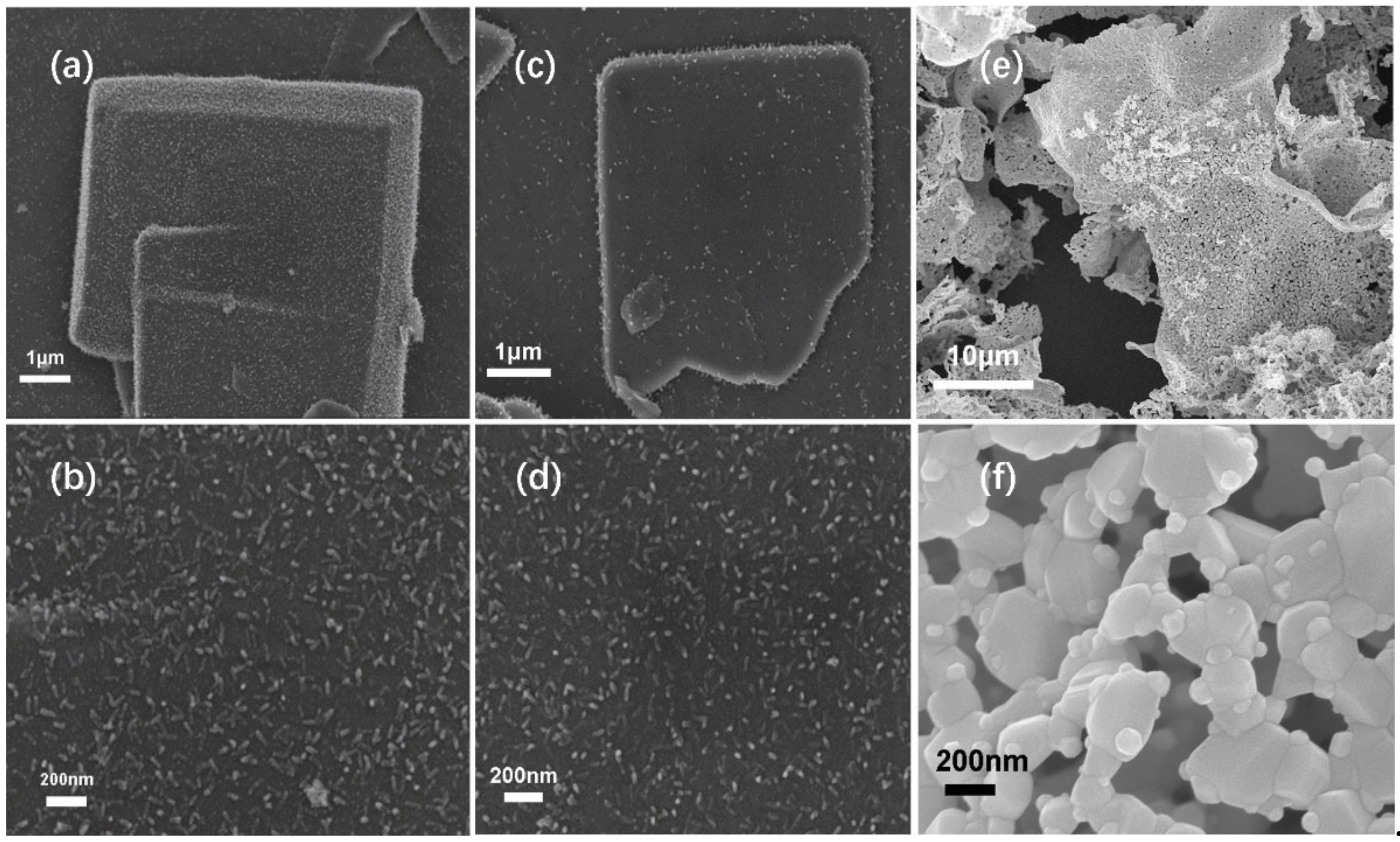 Molecules 27 05736 g006