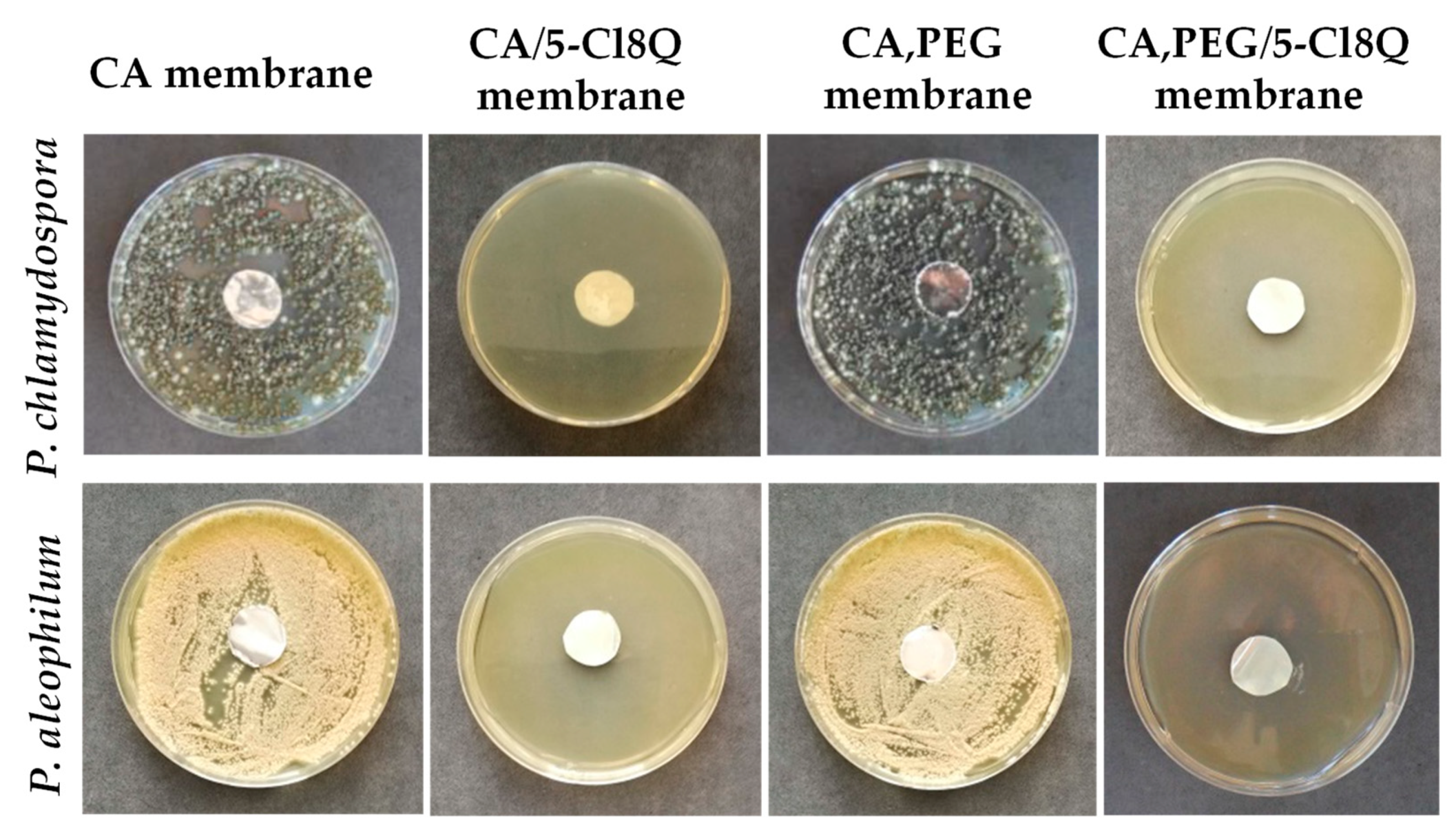 Molecules 27 05738 g001