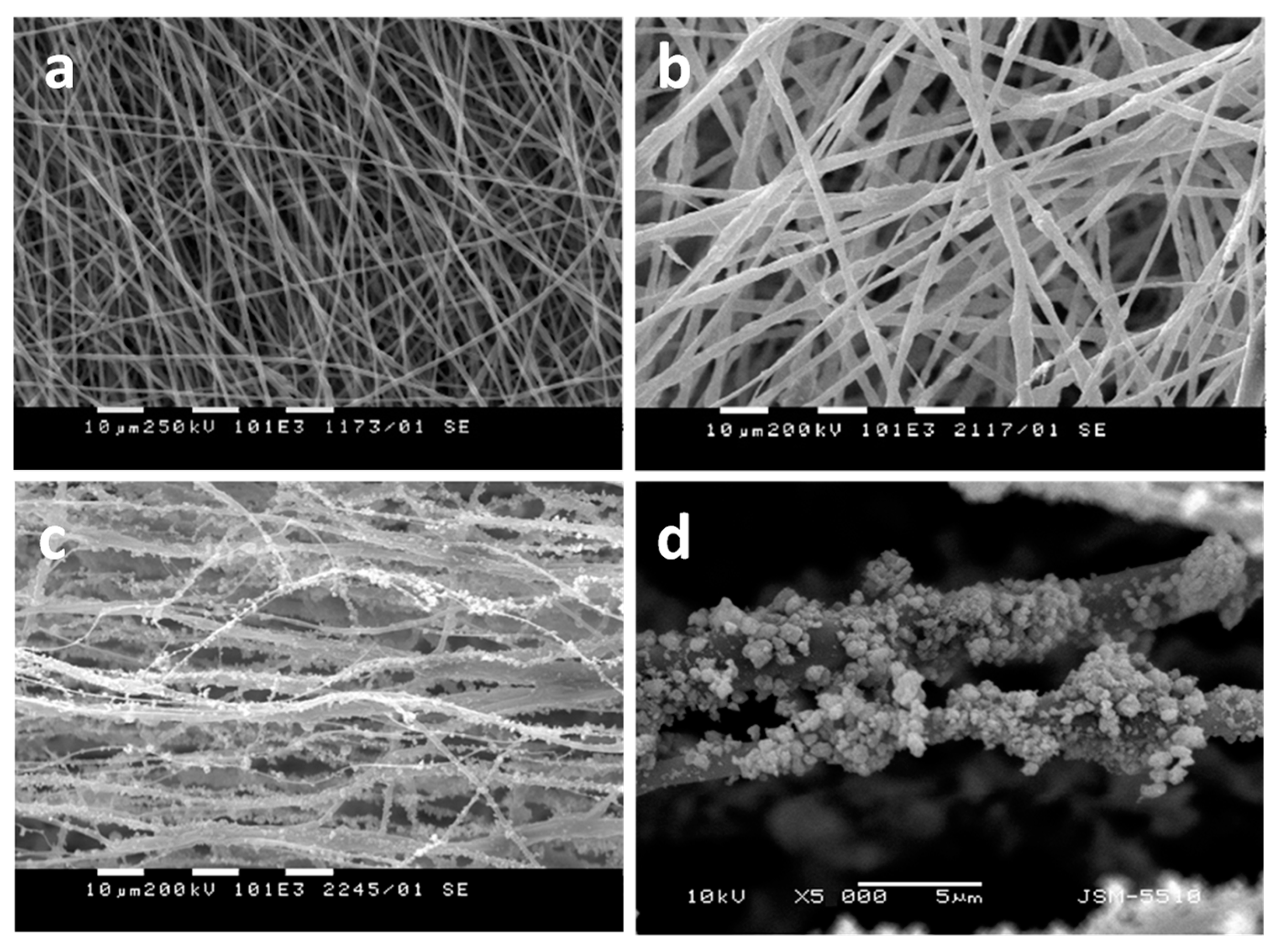 Molecules 27 05738 g004
