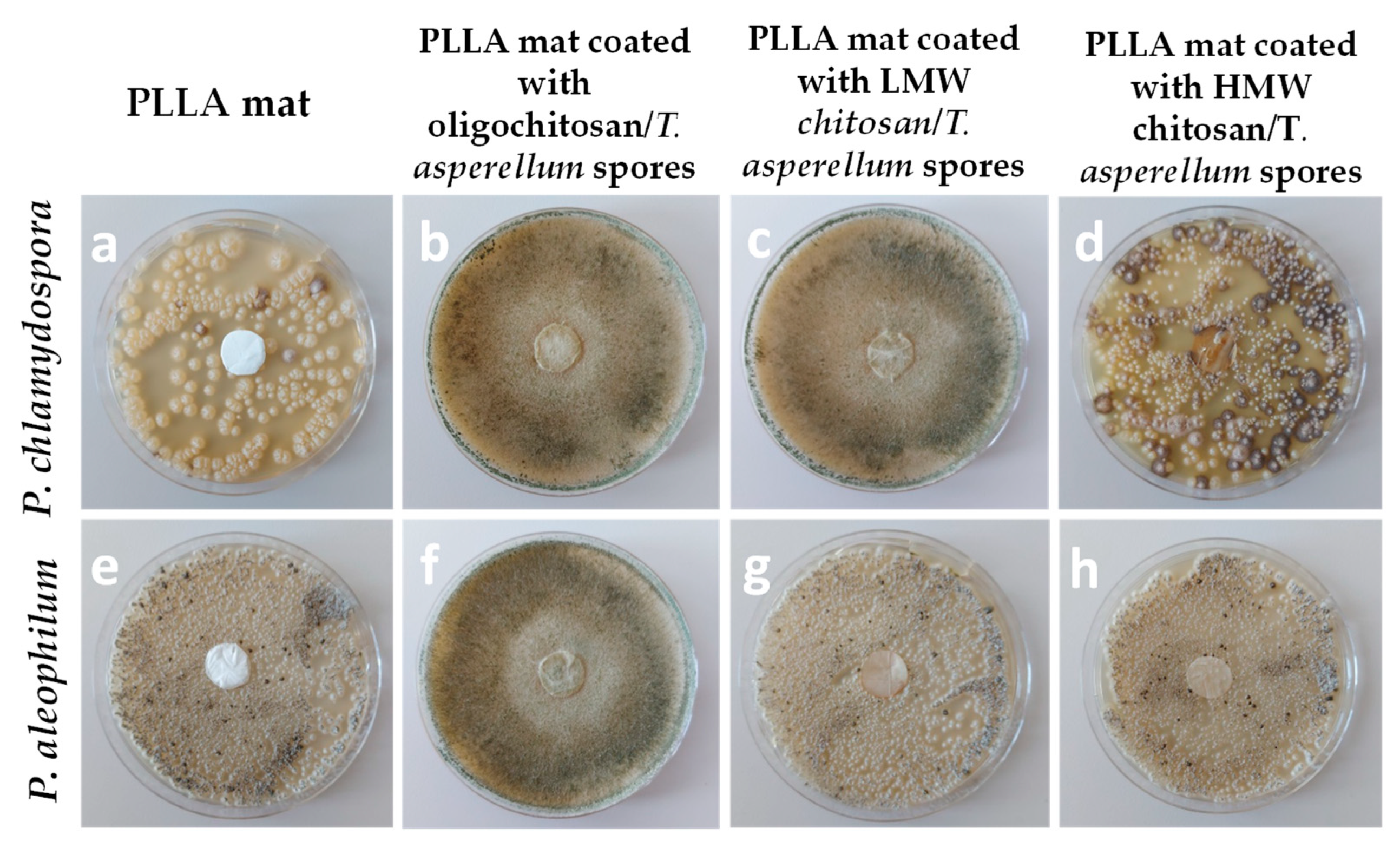 Molecules 27 05738 g008