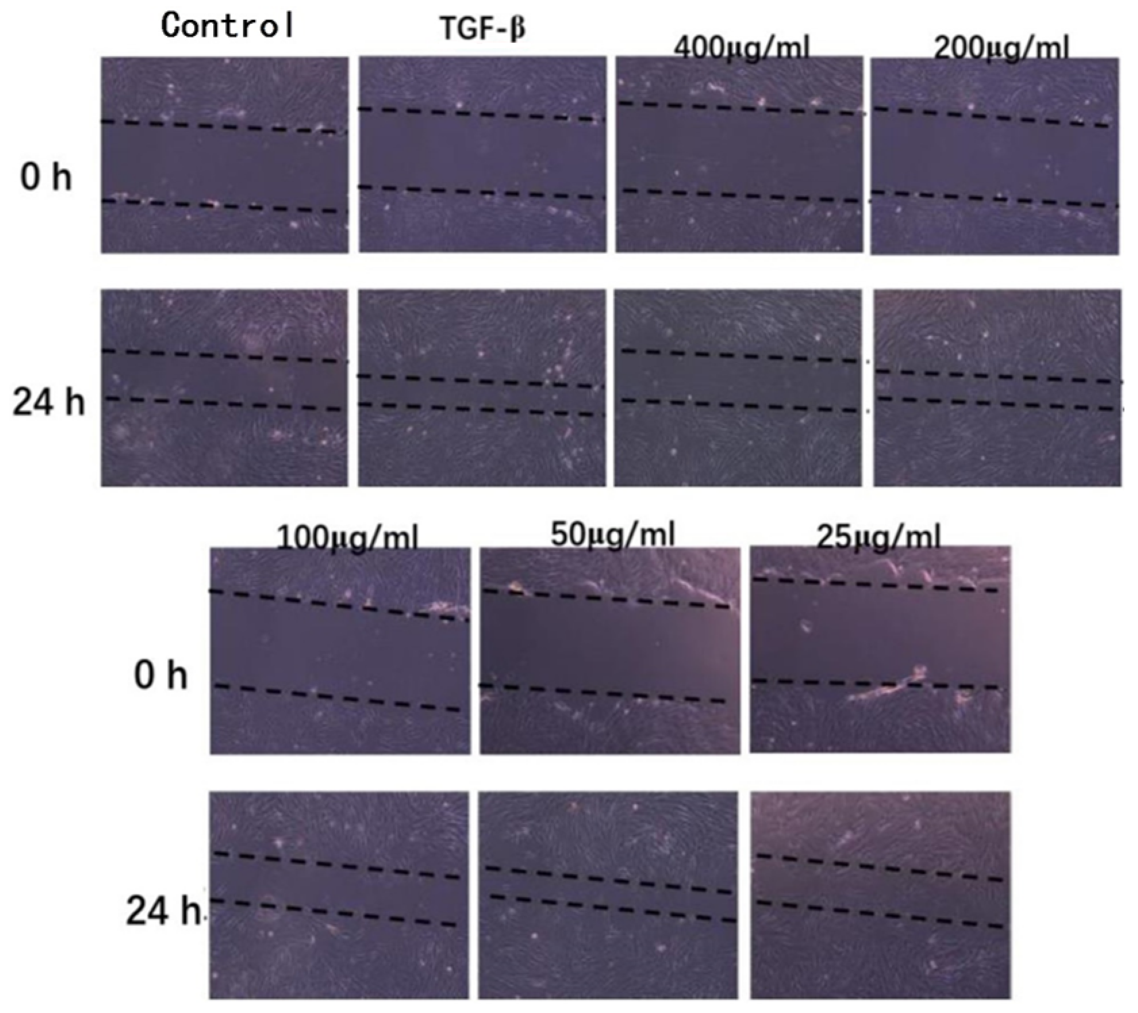 Molecules 27 05746 g006 550