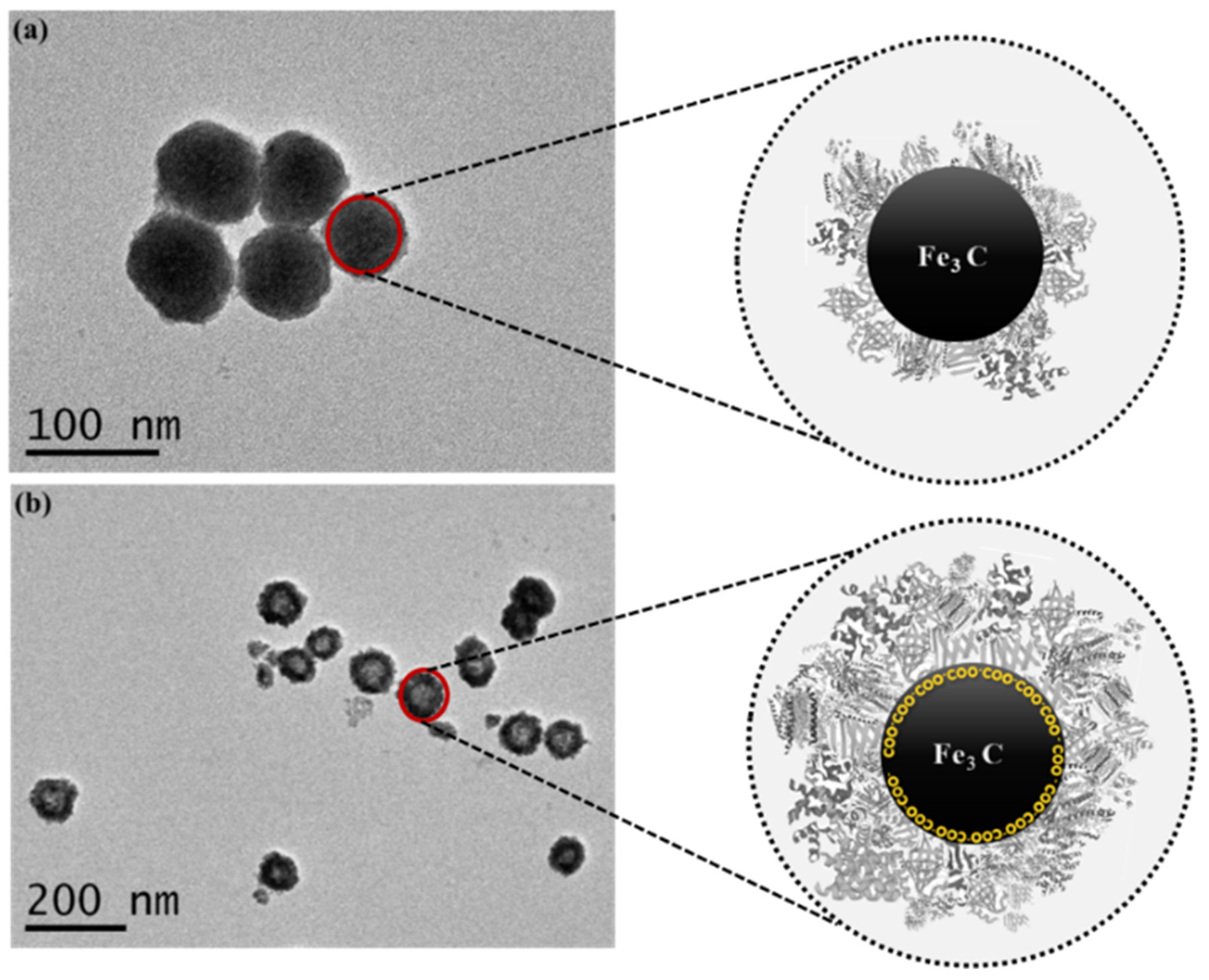 Molecules 27 05754 g002 550