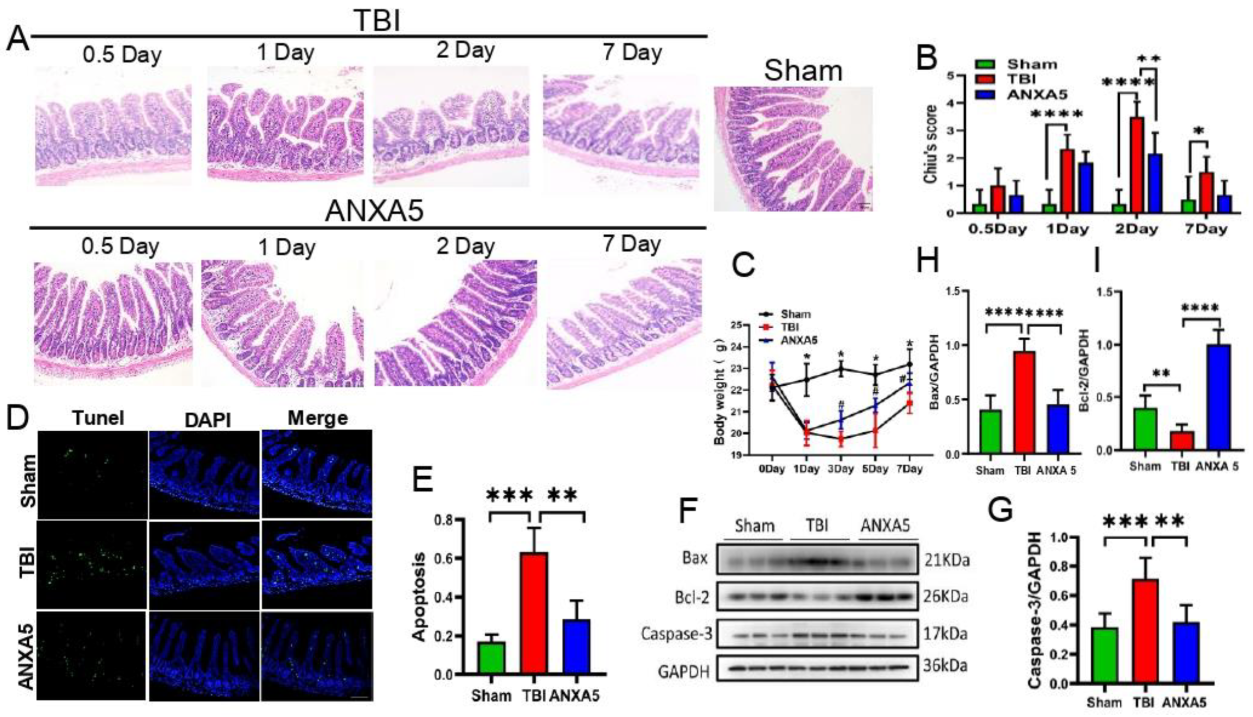 Molecules 27 05755 g001 550