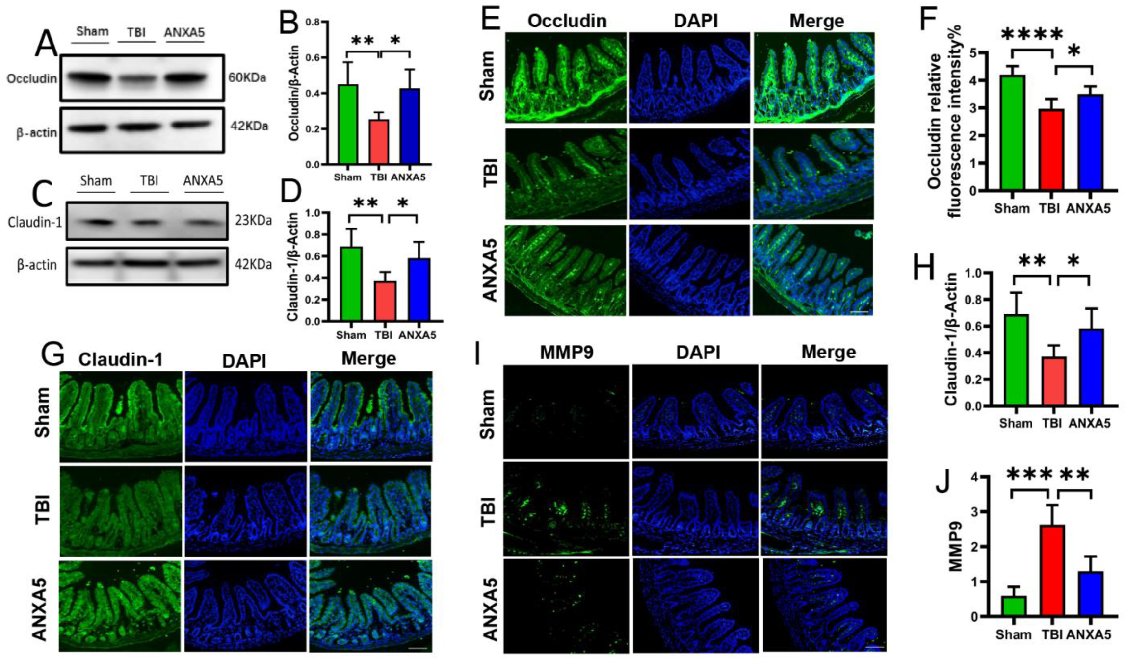 Molecules 27 05755 g002 550