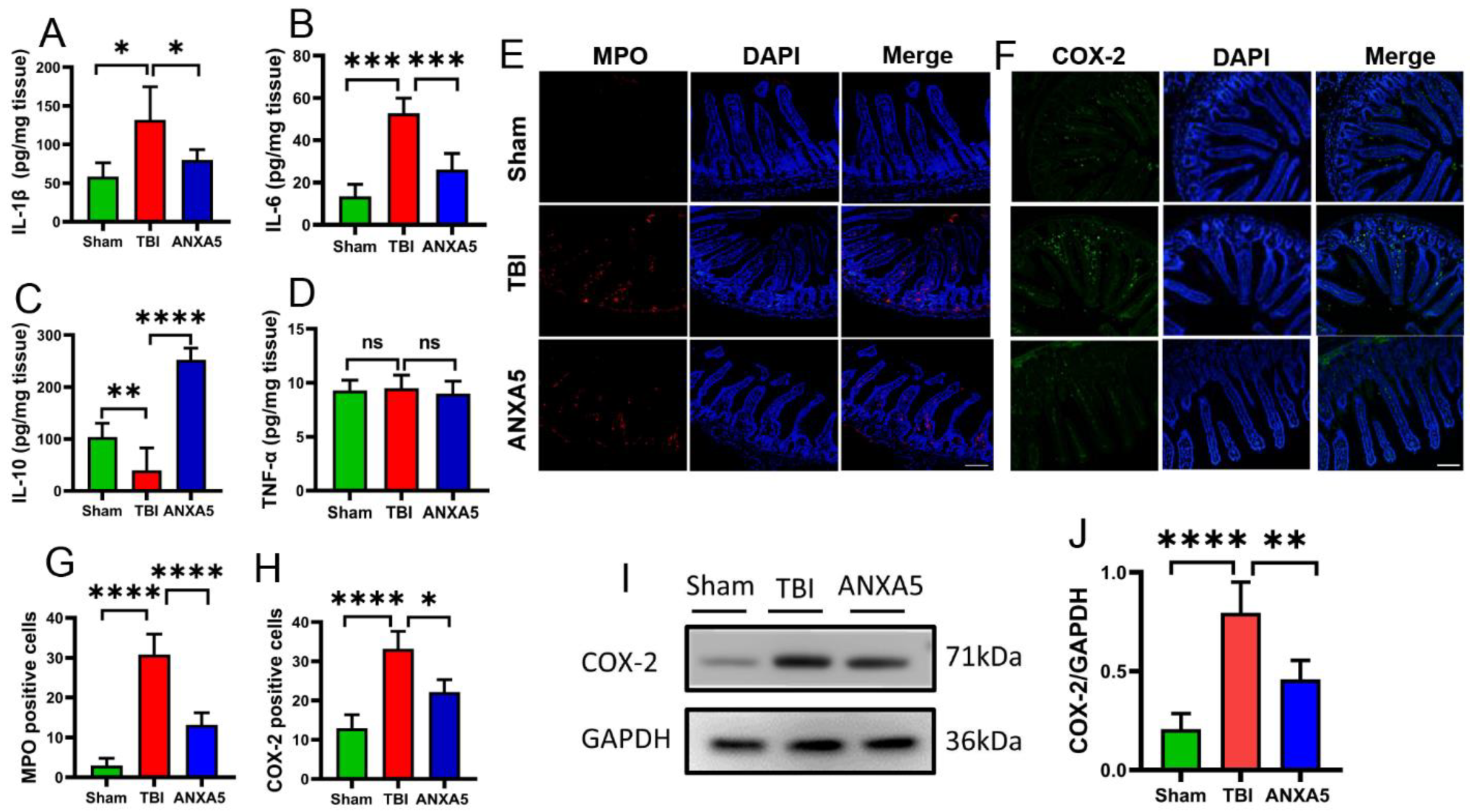 Molecules 27 05755 g003 550