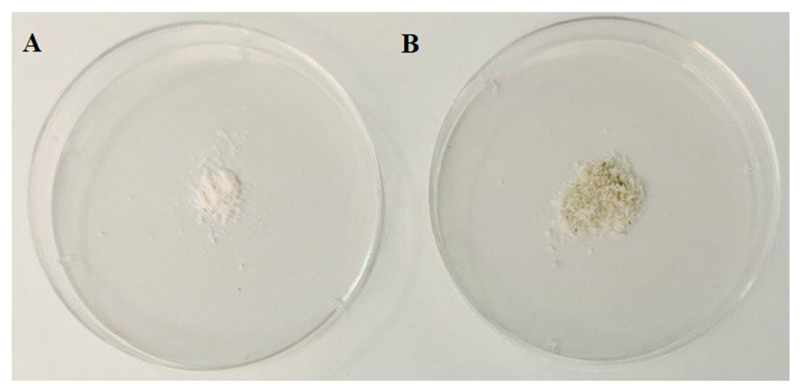 Molecules 27 05757 g002 Molecules 27 05757 g002