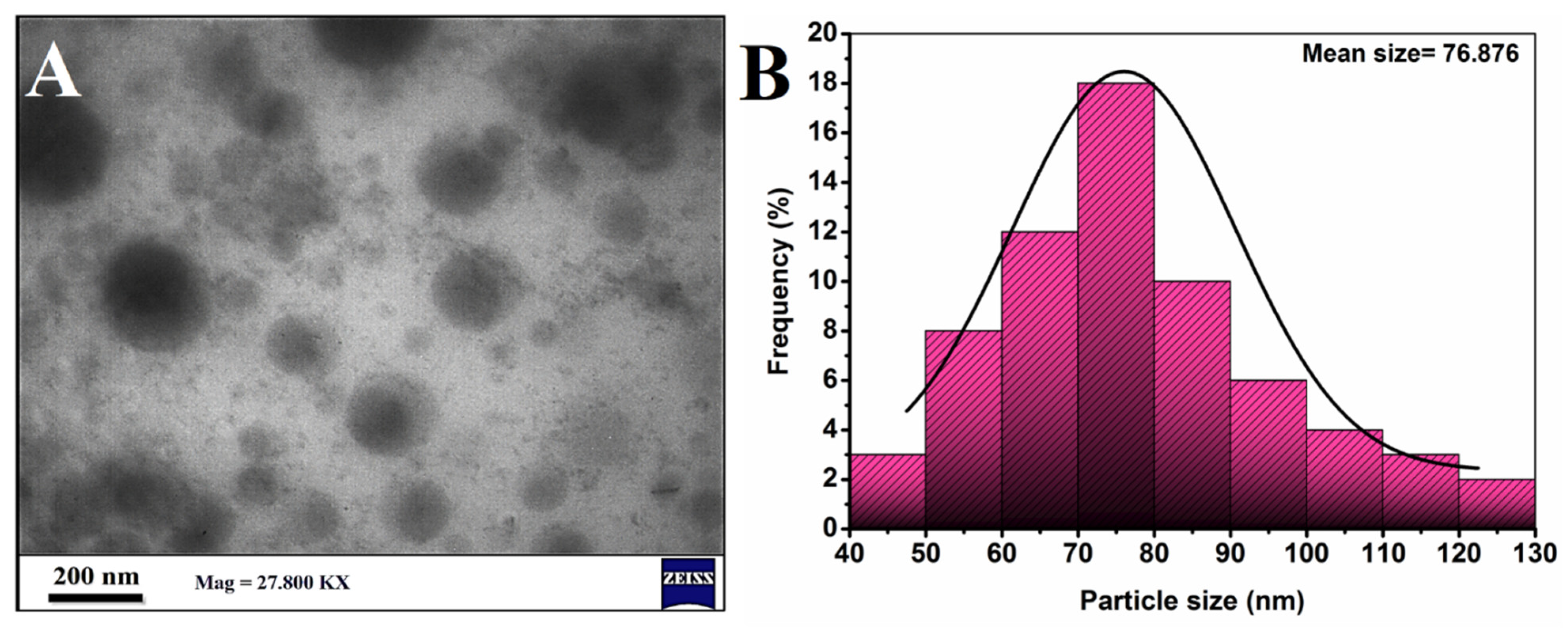 Molecules 27 05757 g007 Molecules 27 05757 g007
