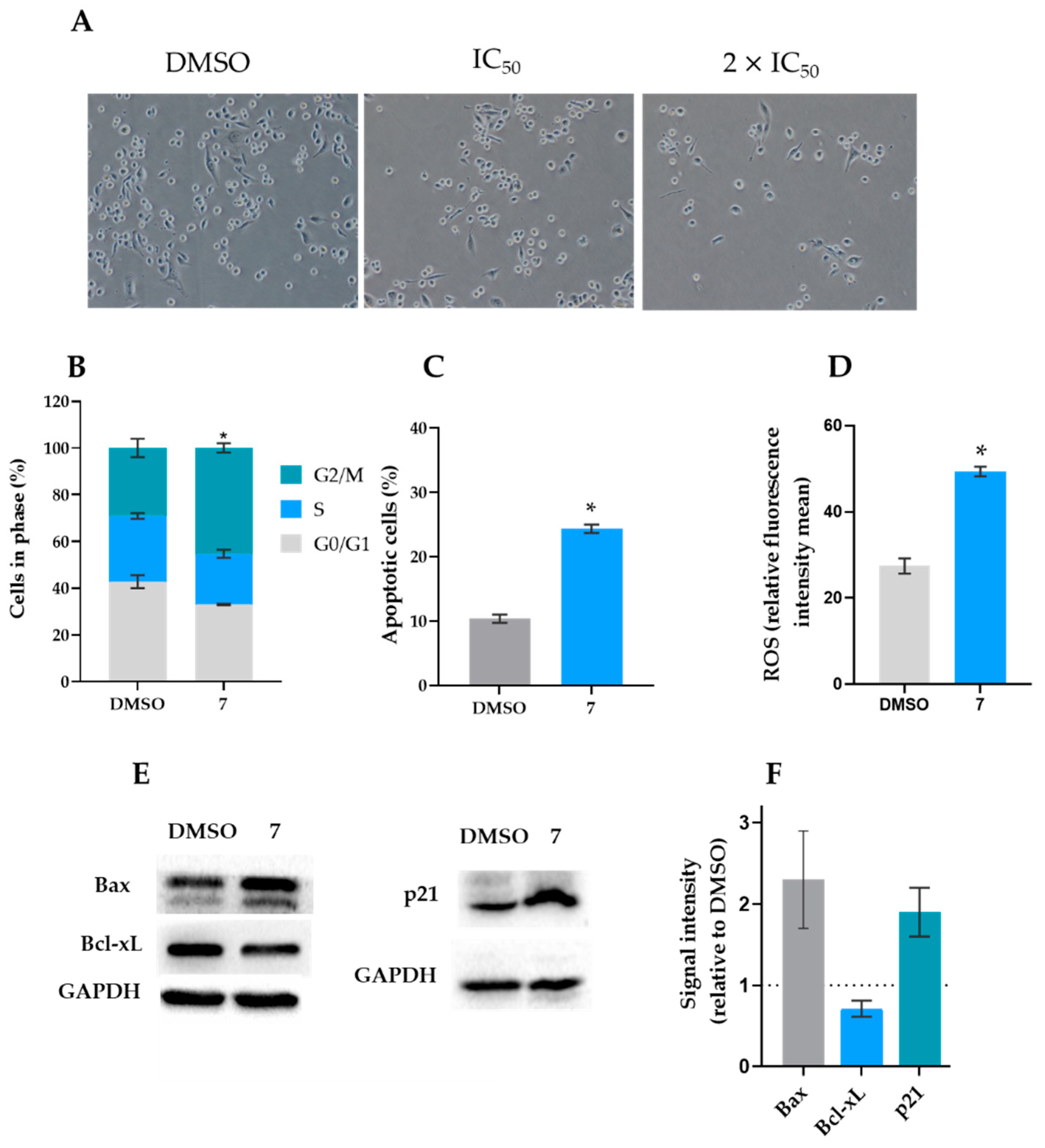 Molecules 27 05759 g002