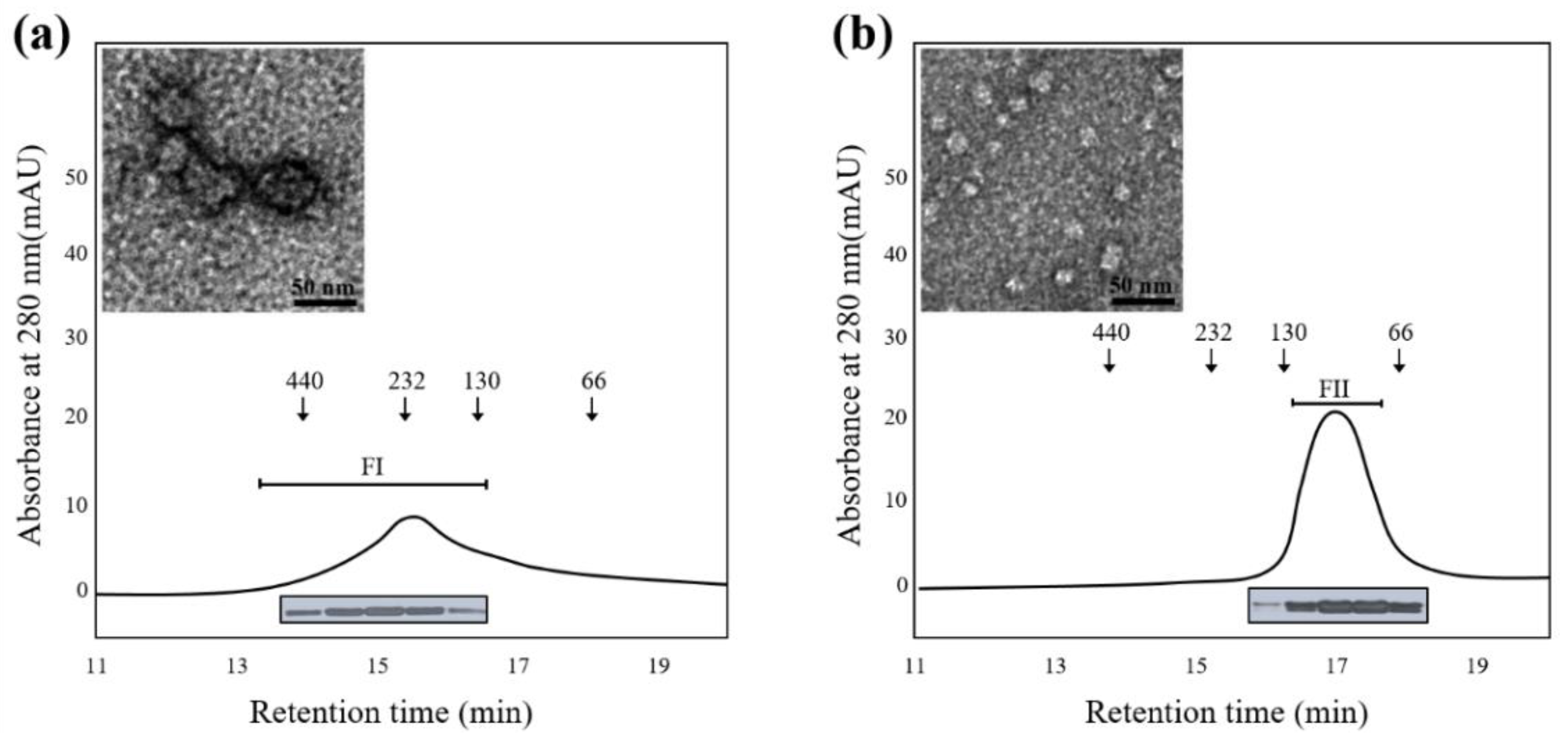 Molecules 27 05771 g005