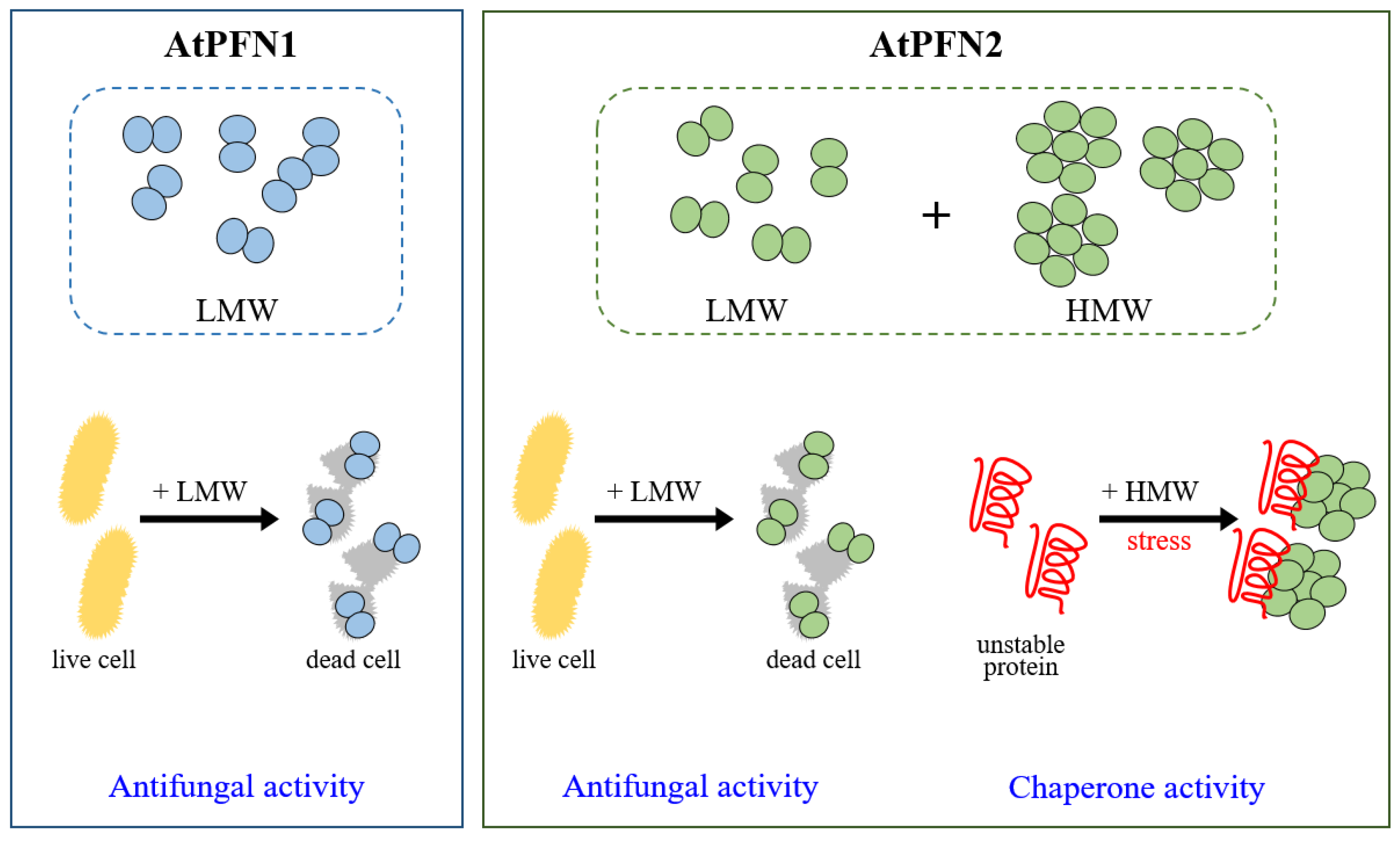 Molecules 27 05771 g009