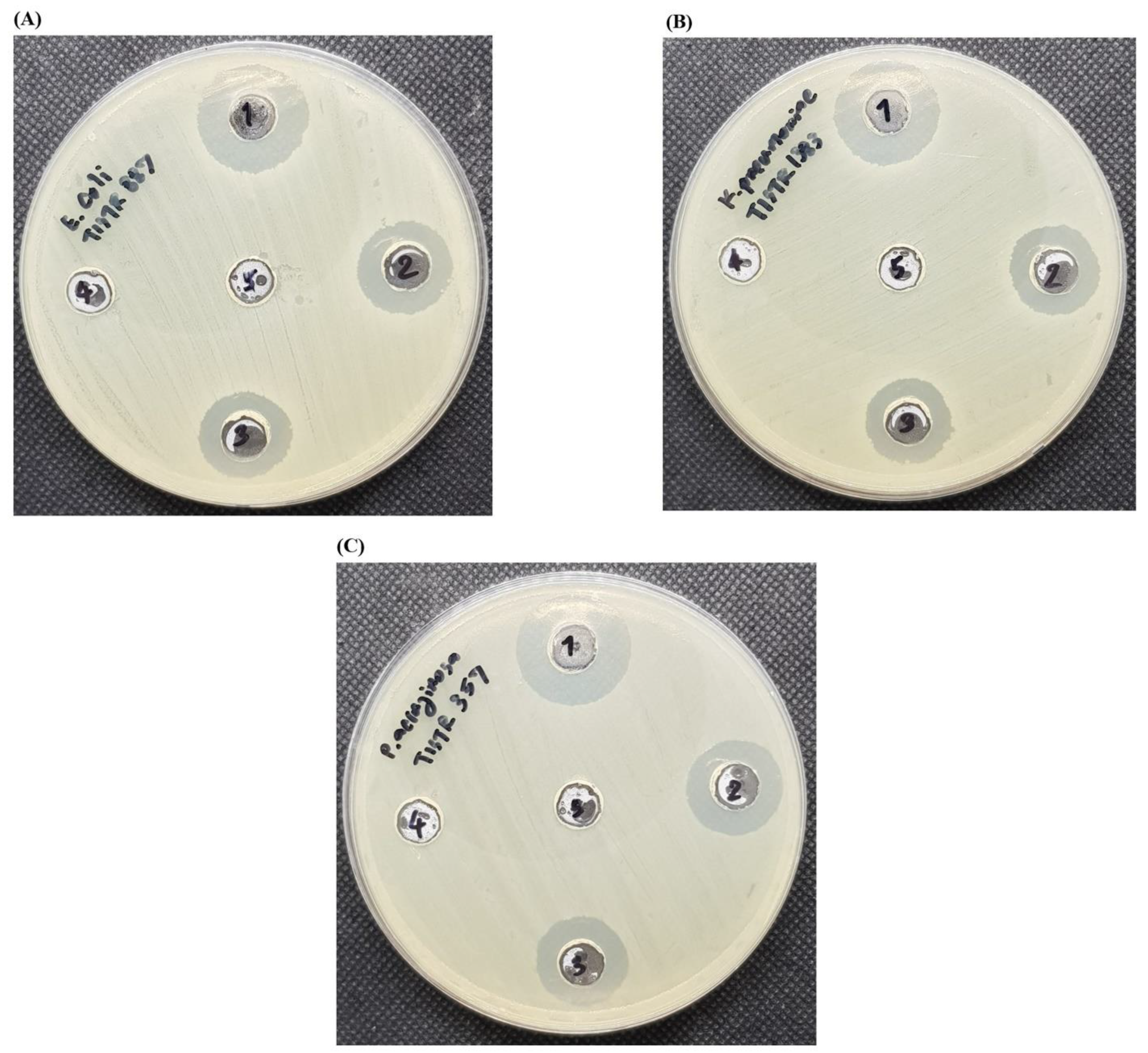 Molecules 27 05780 g006