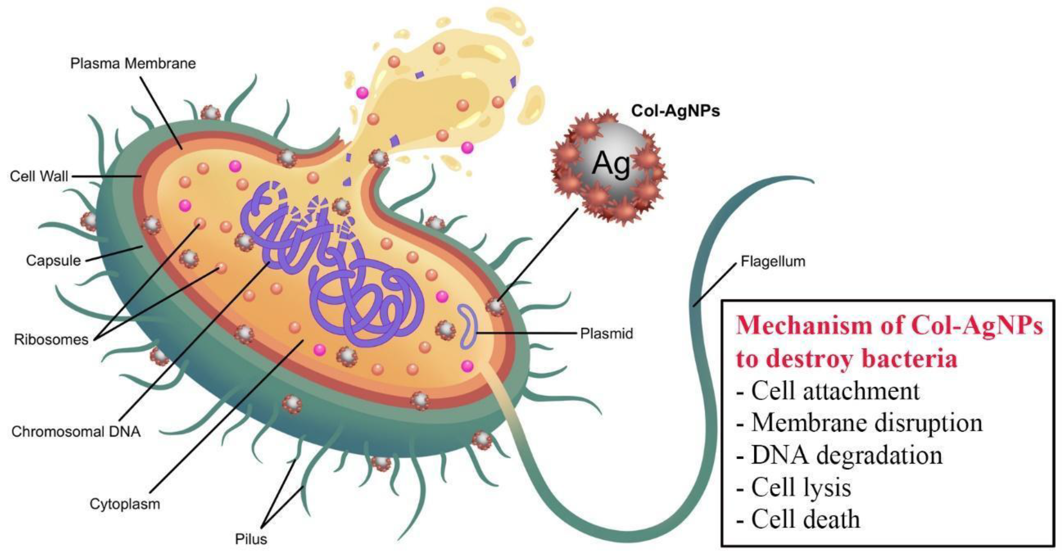 Molecules 27 05780 g009