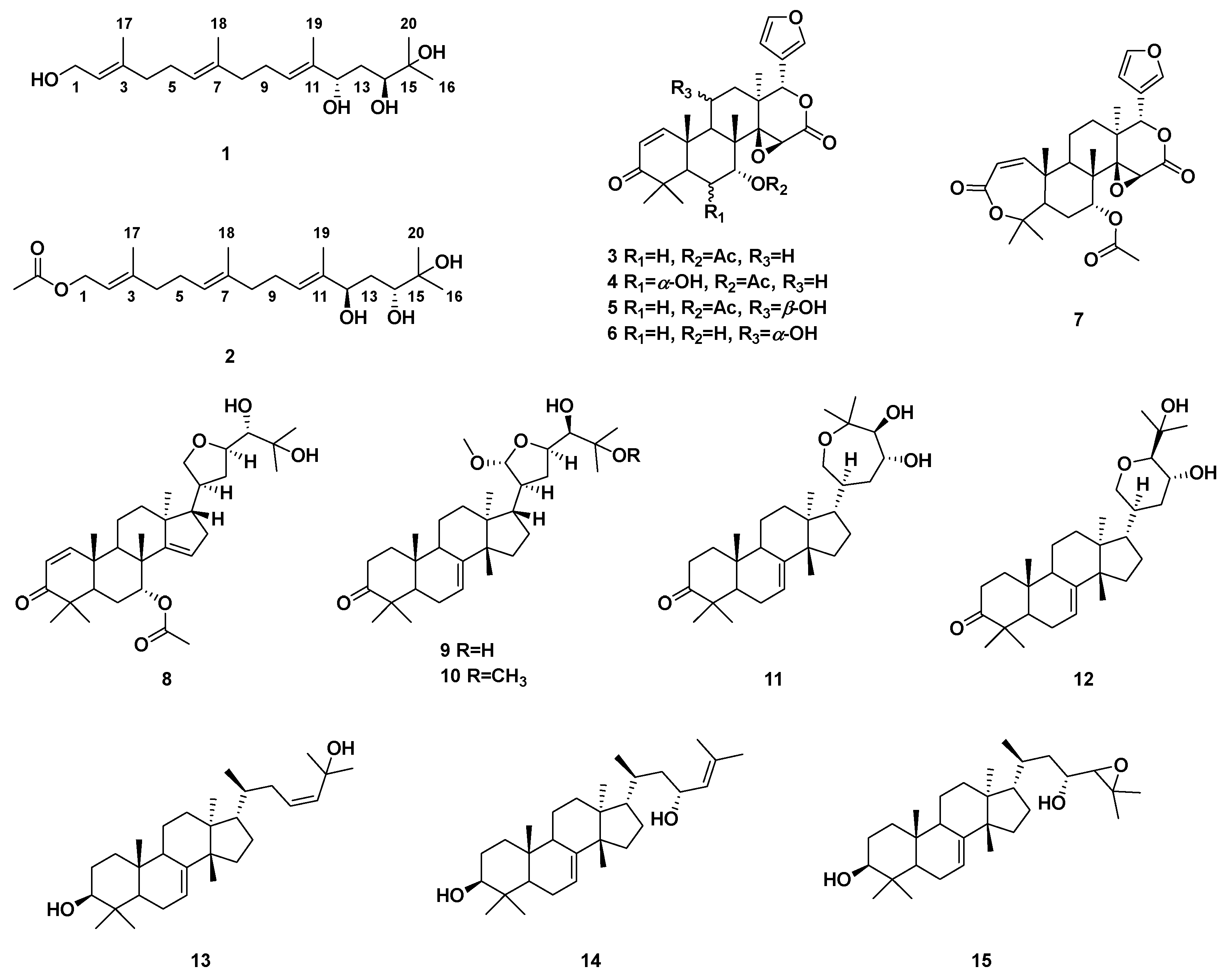 Transcriptome Analysis of Transiently Reversible Cell