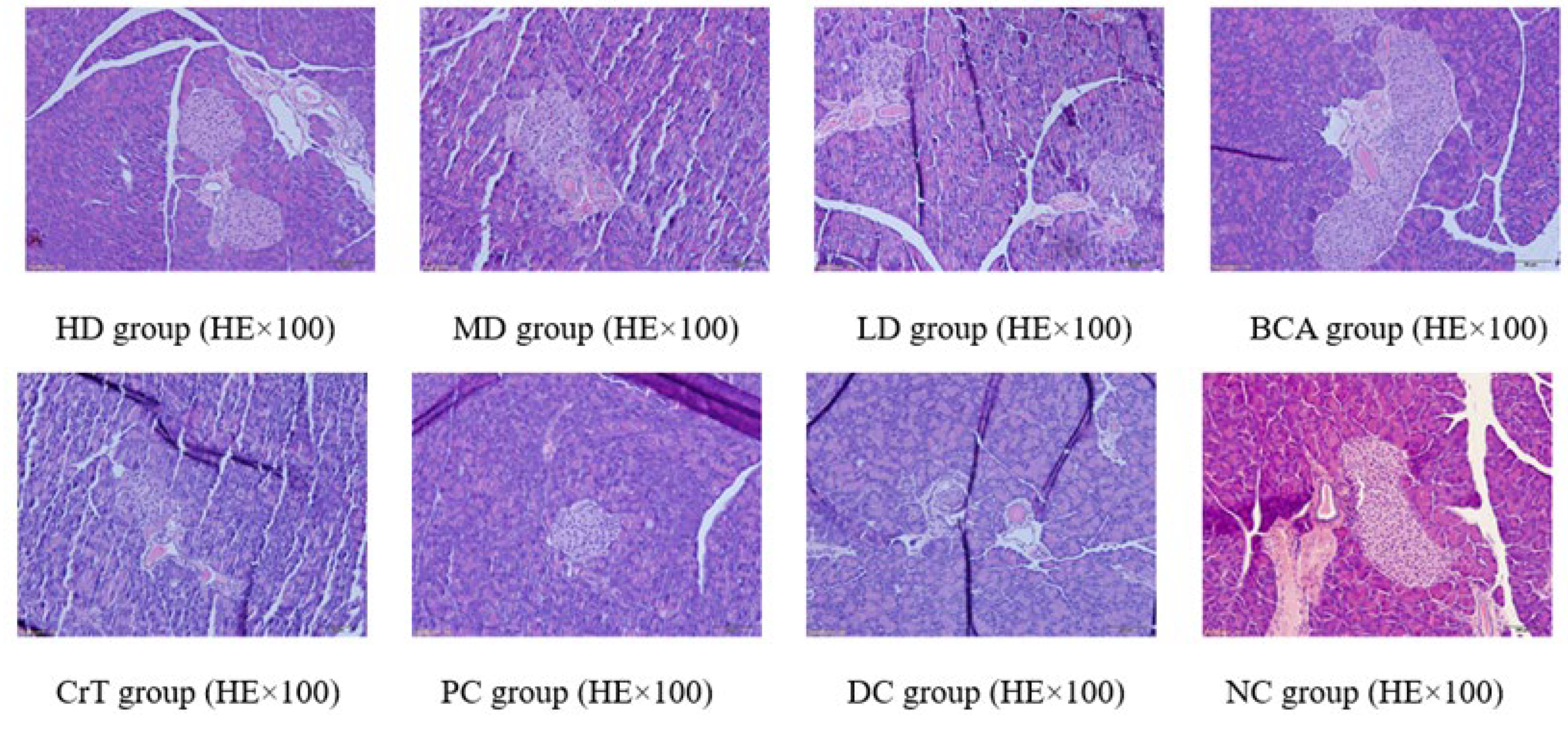 Molecules 27 05786 g013
