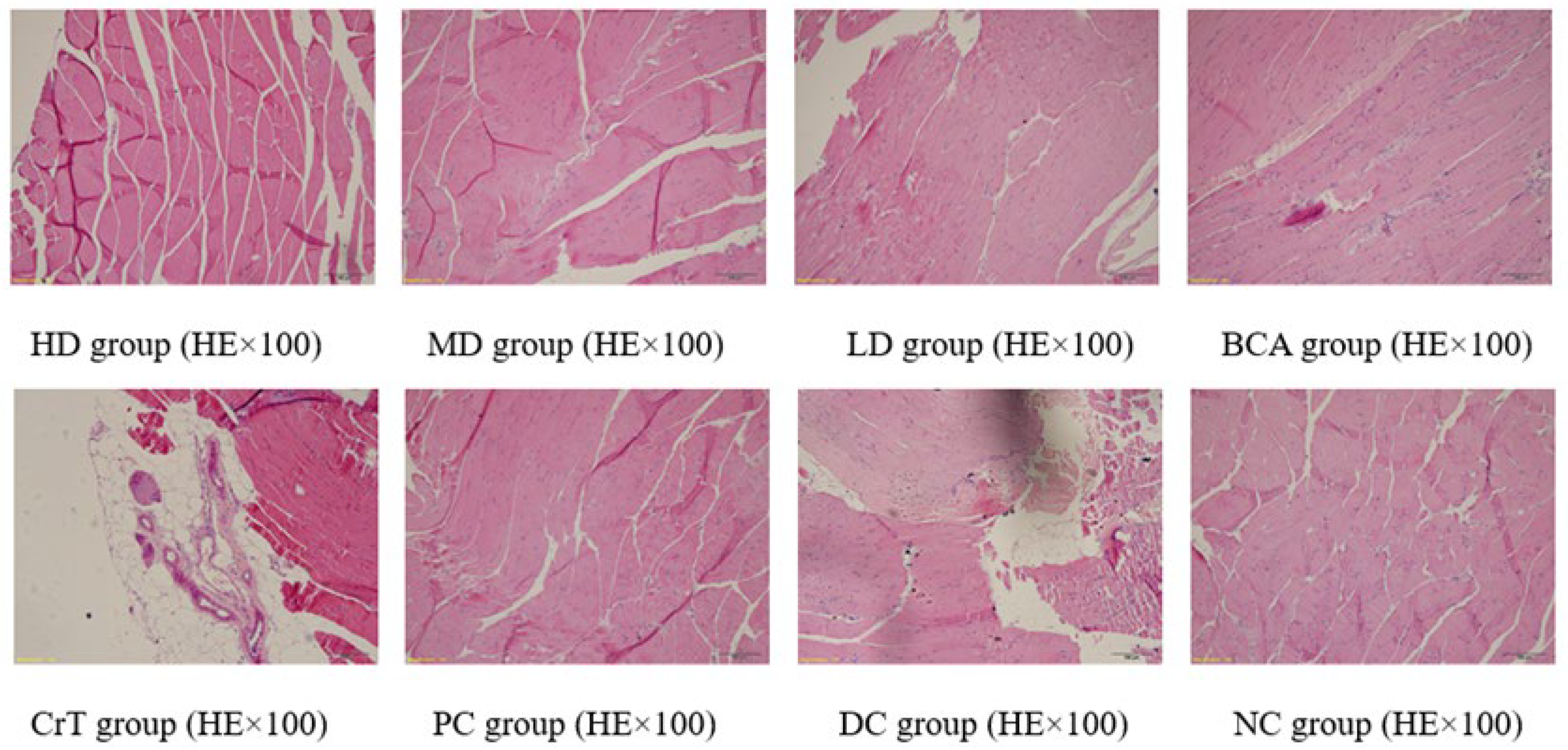 Molecules 27 05786 g014