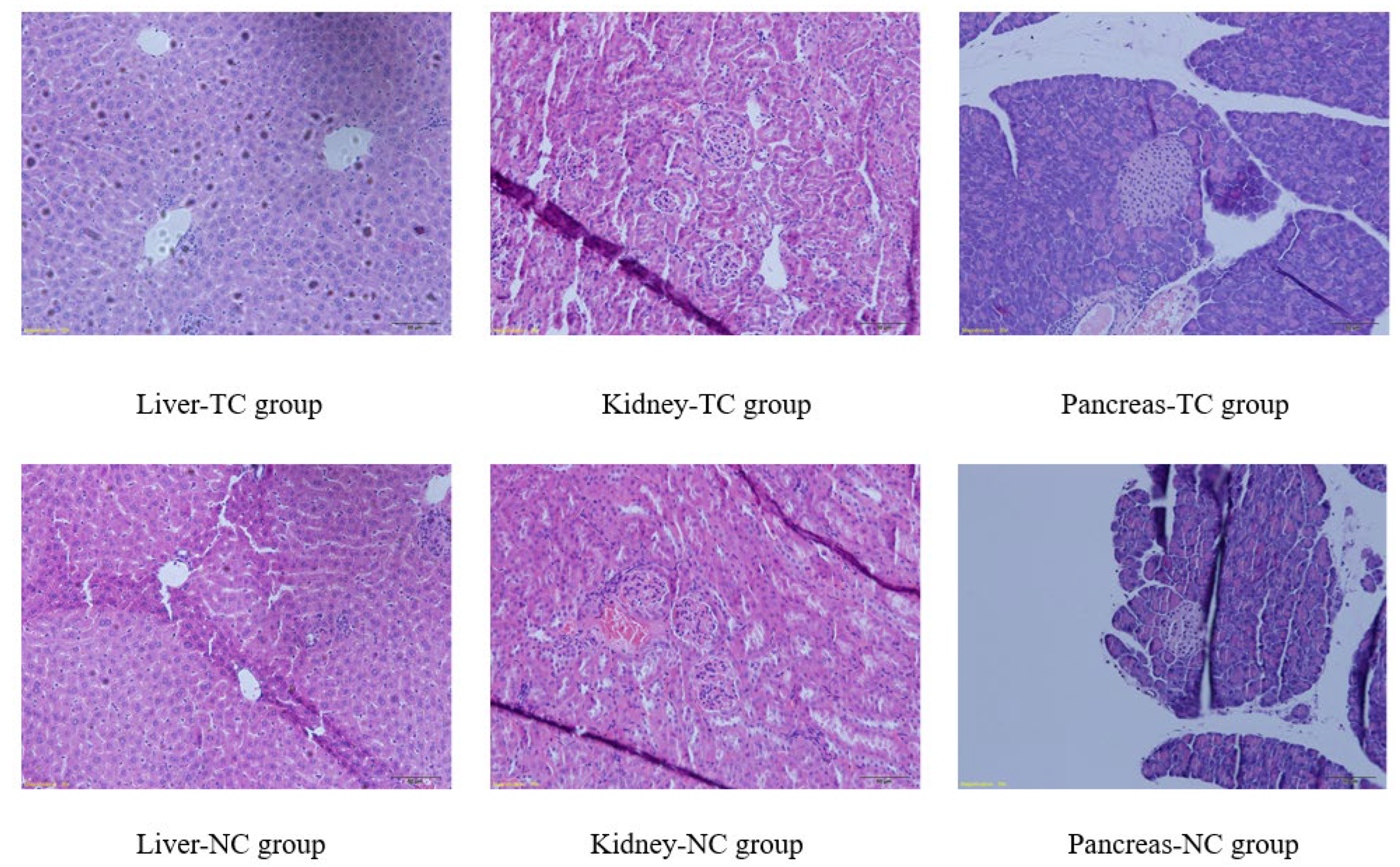 Molecules 27 05786 g017