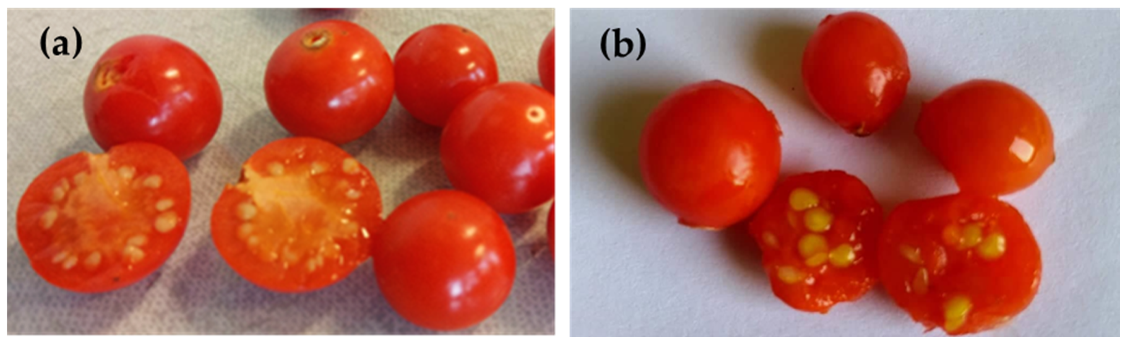 Molecules 27 05787 g001 550