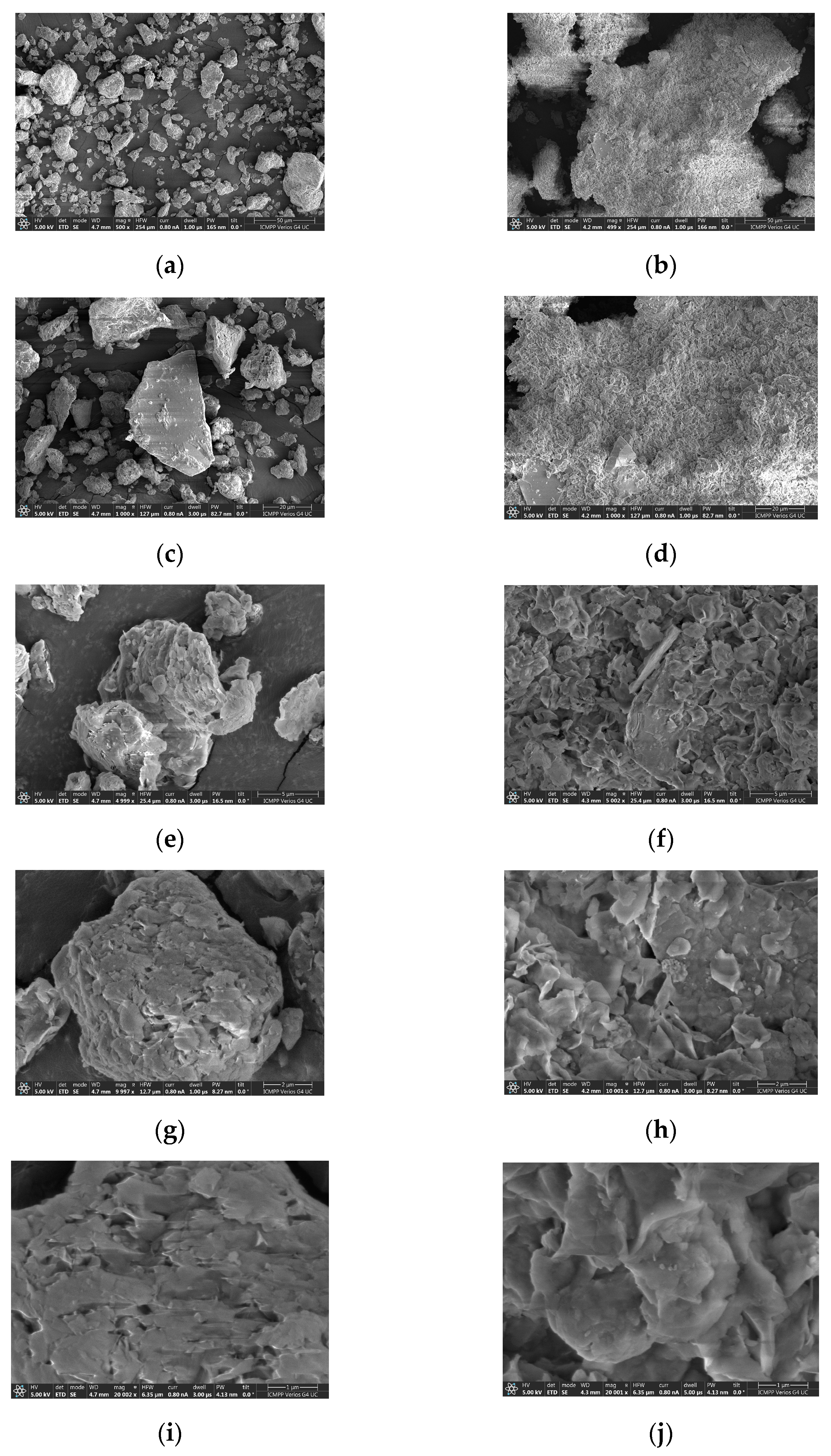 Molecules 27 05791 g001