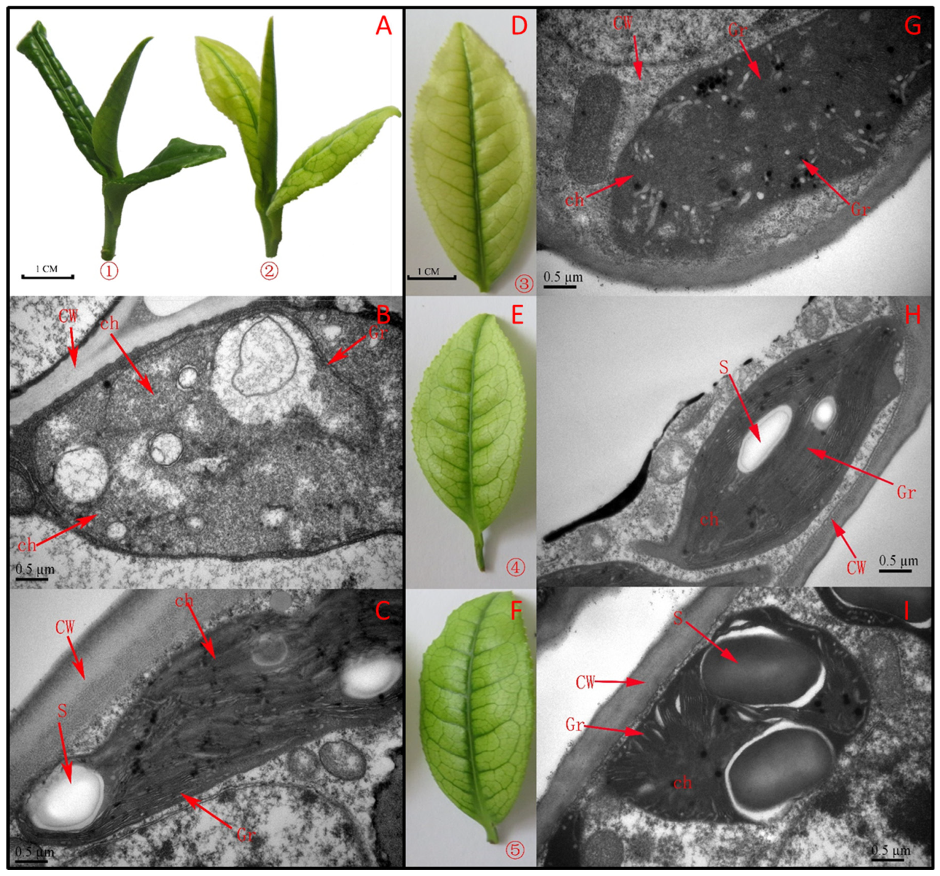 Molecules 27 05792 g001