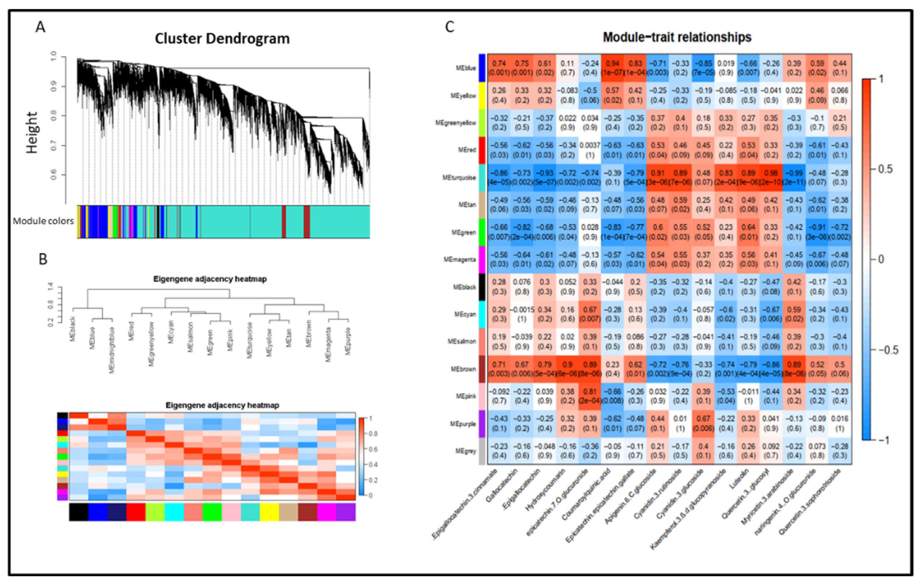 Molecules 27 05792 g004