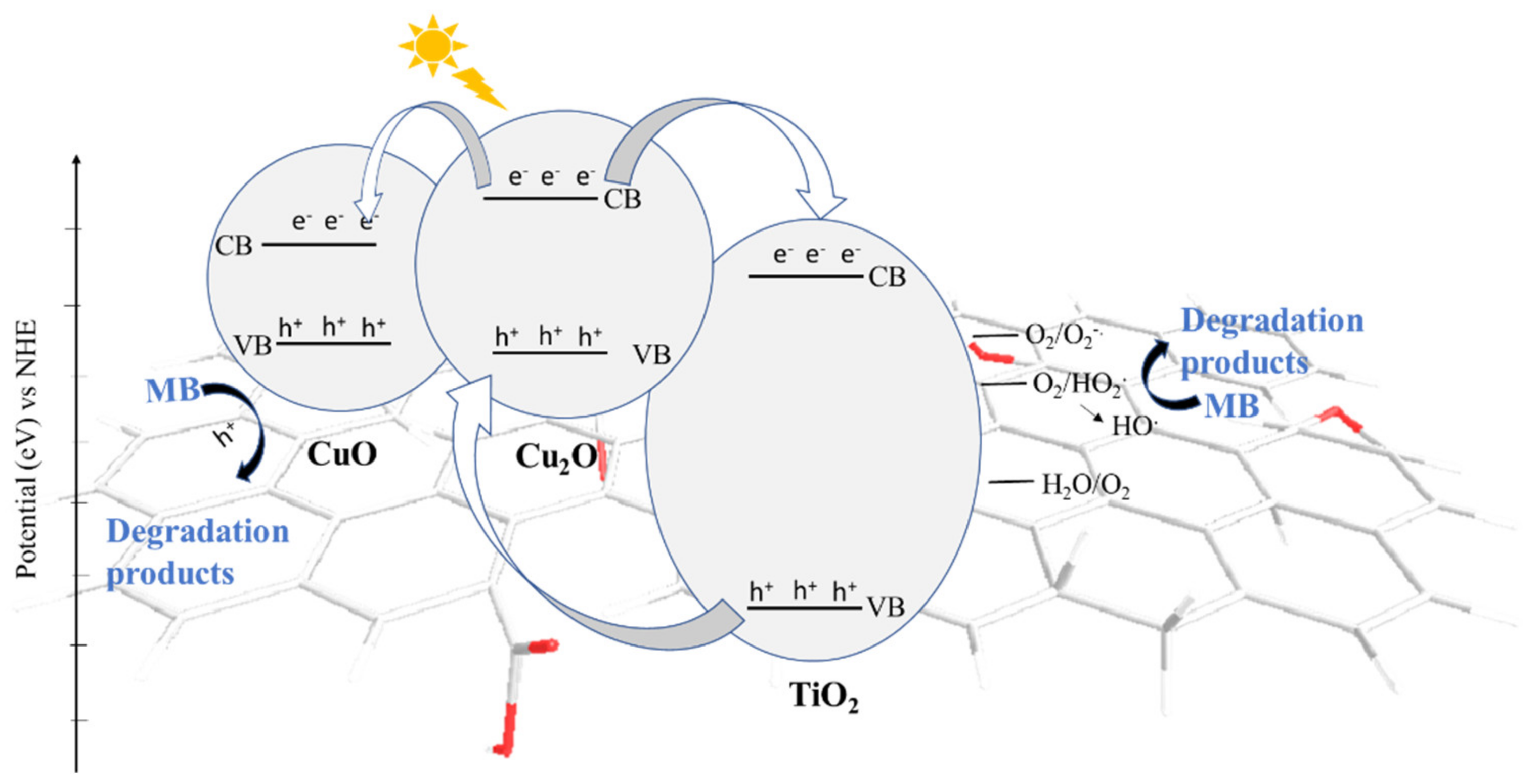 Molecules 27 05803 g006