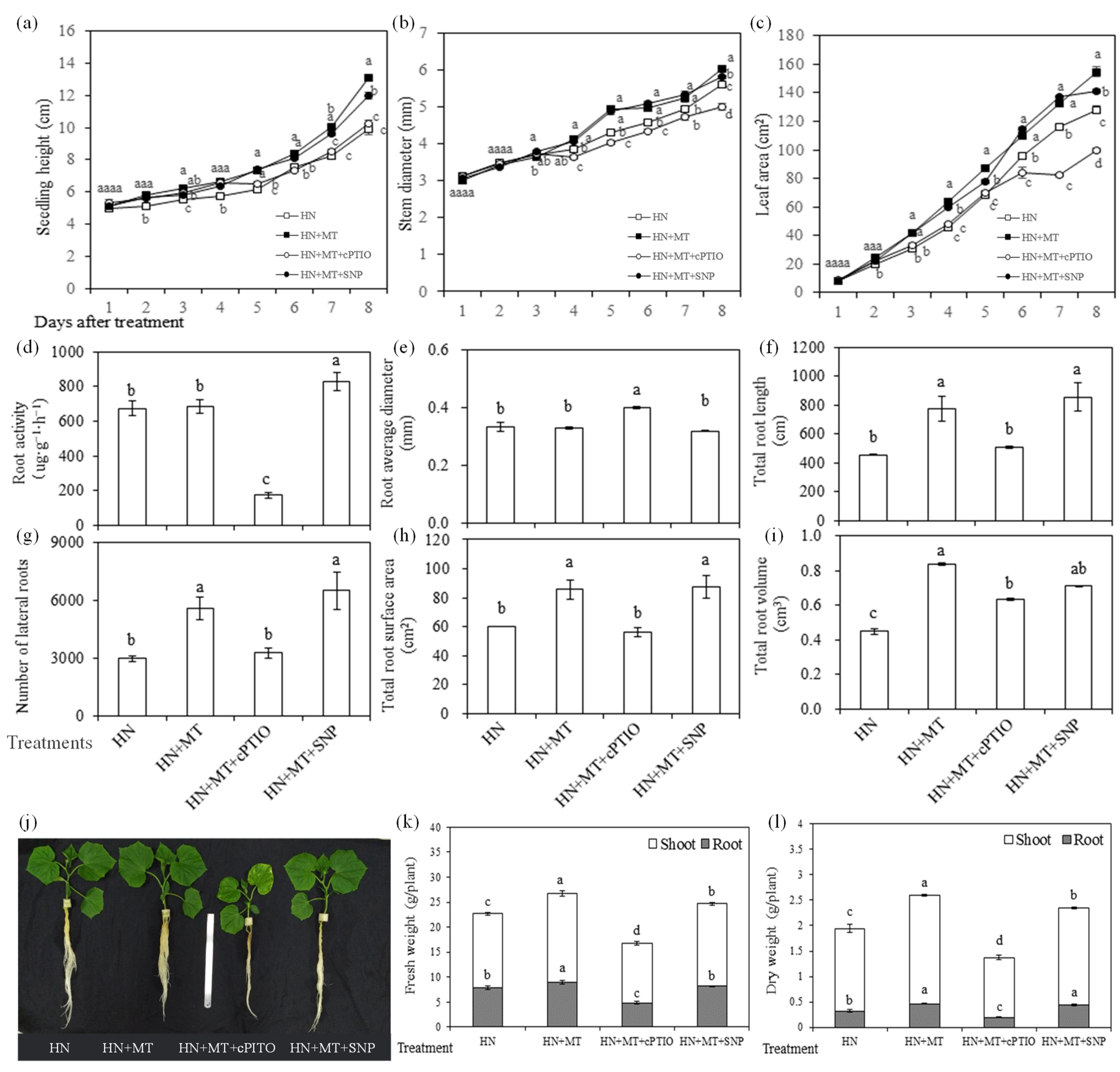 Molecules 27 05806 g003