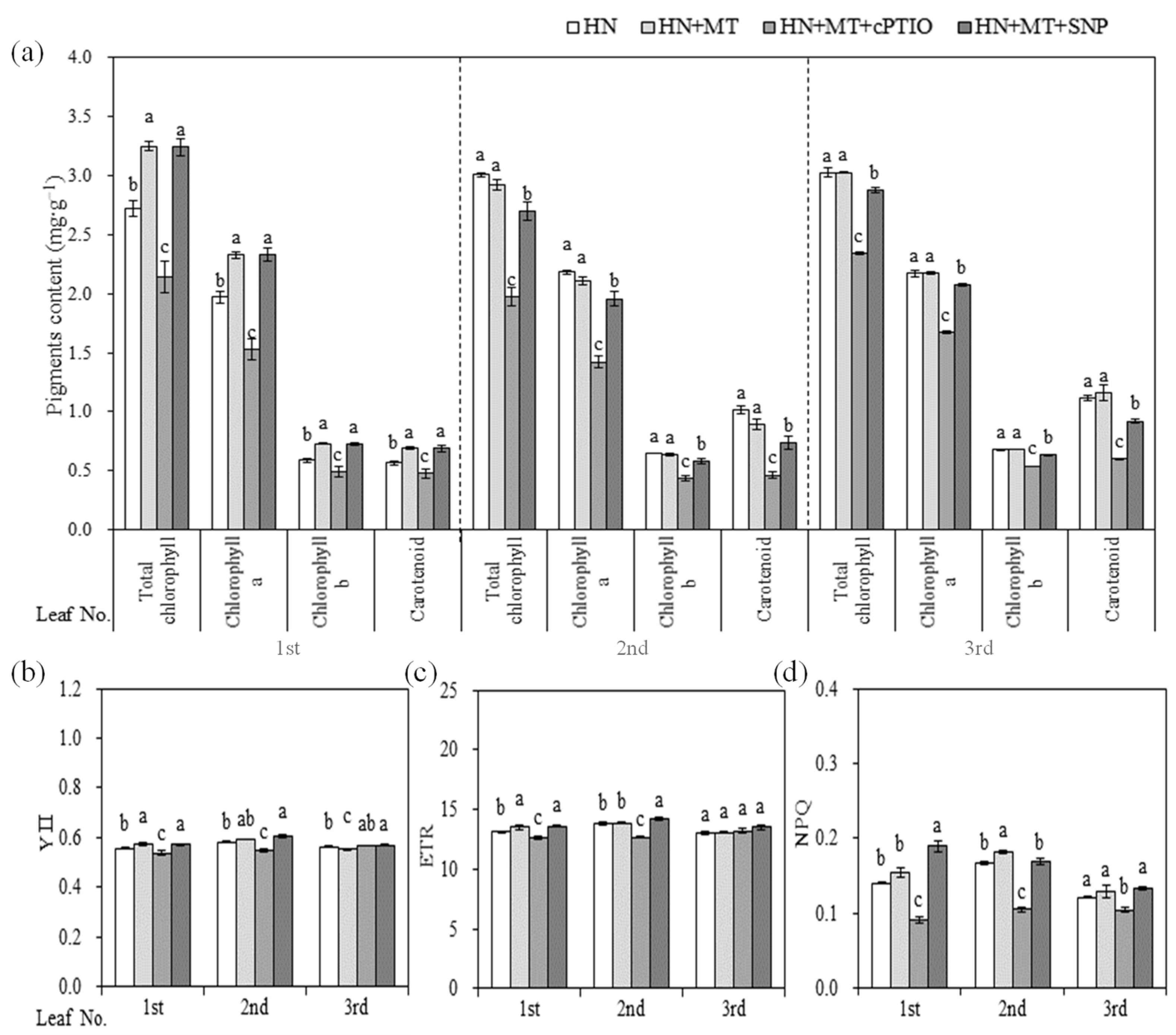Molecules 27 05806 g004