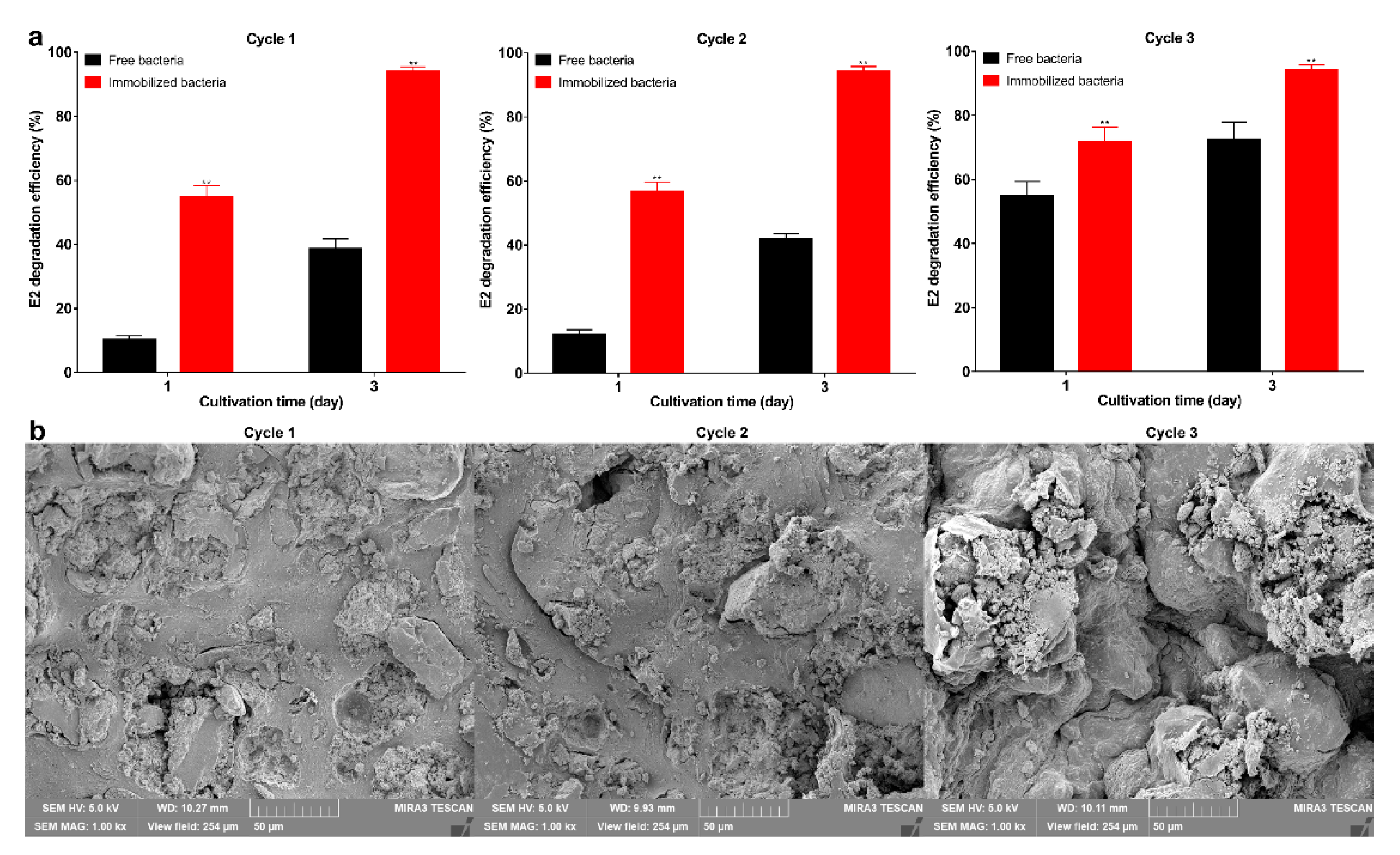 Molecules 27 05807 g005