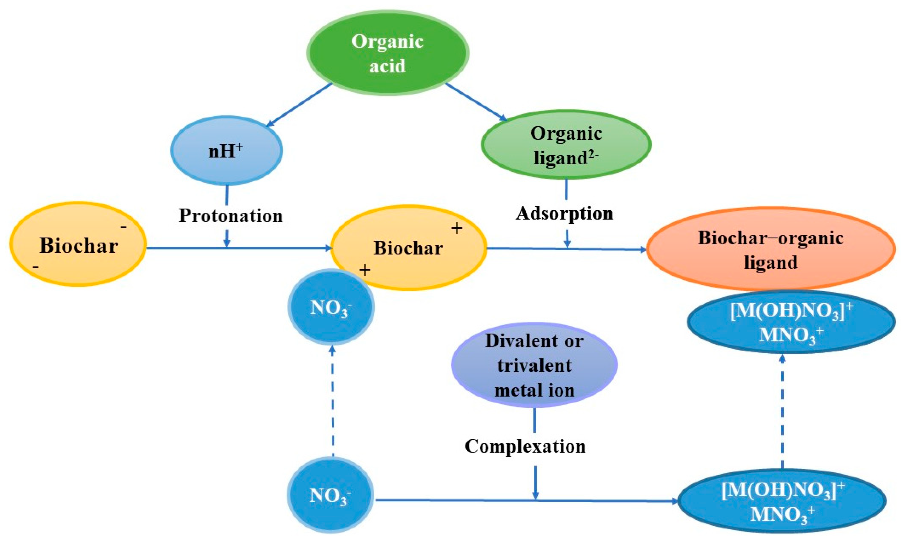Molecules 27 05811 g003