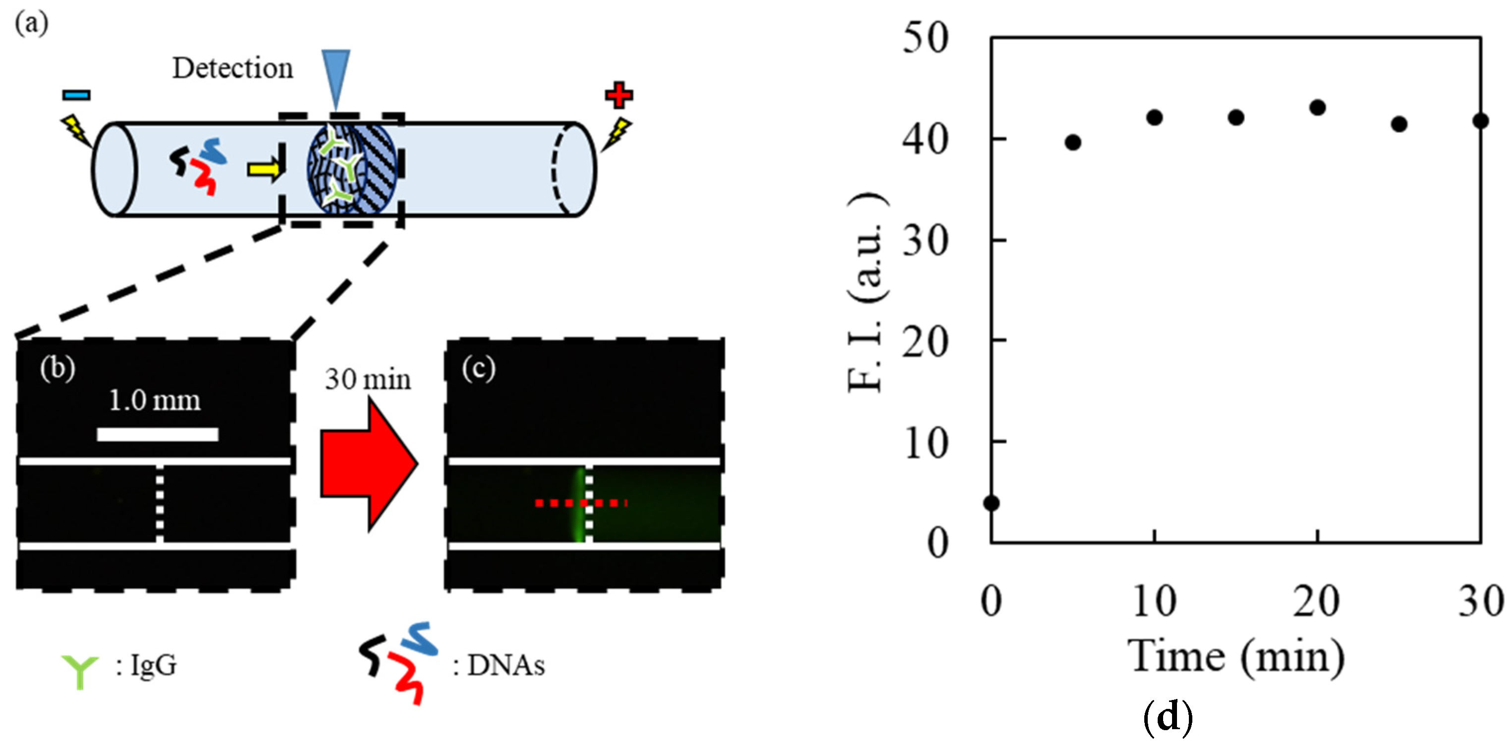Molecules 27 05818 g002 550