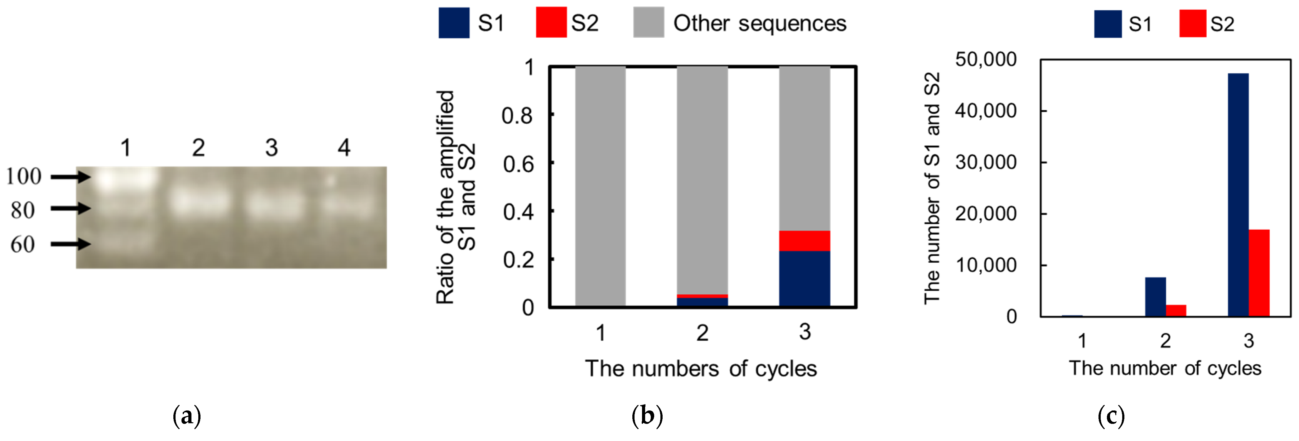 Molecules 27 05818 g005 550