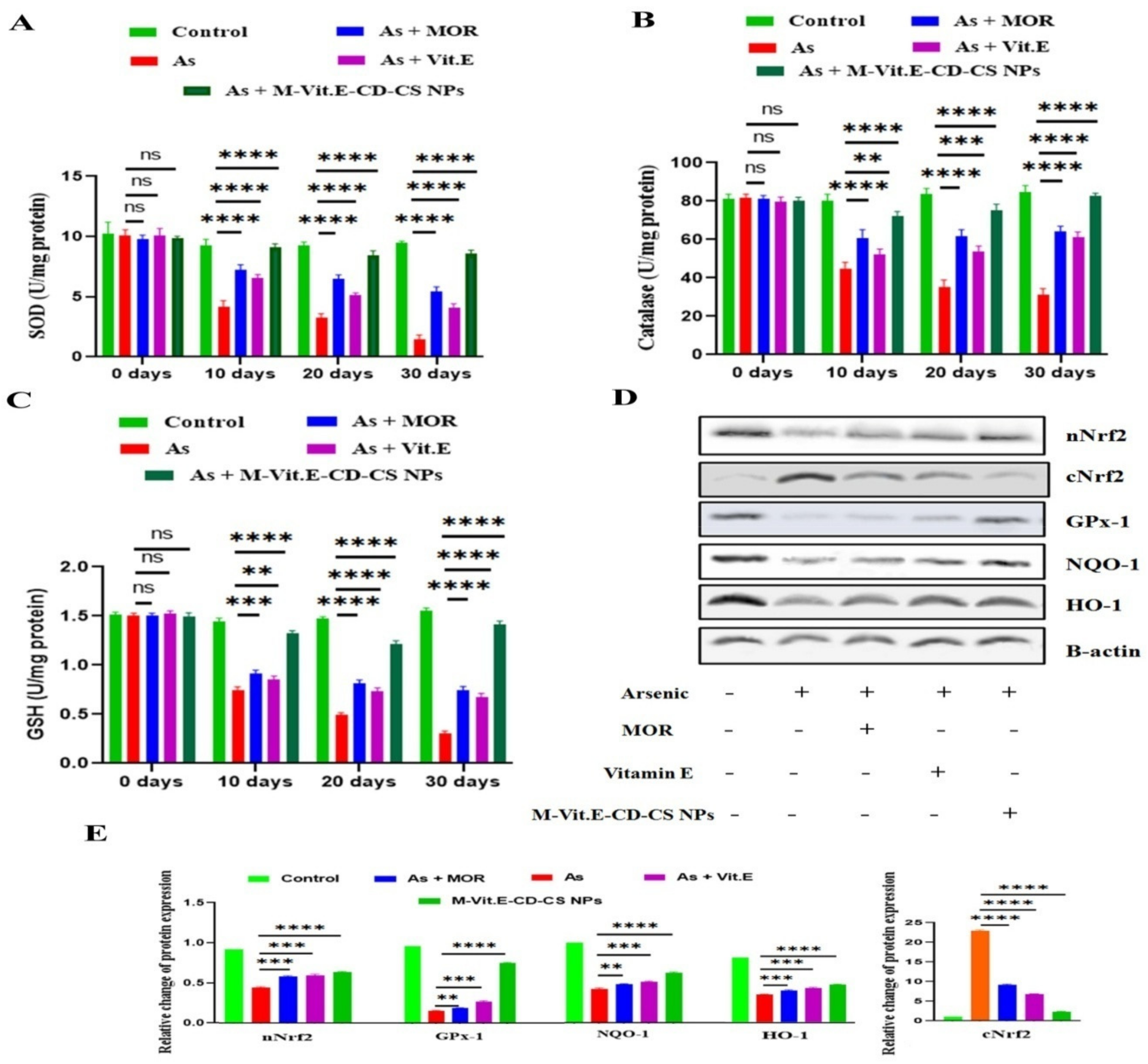 Molecules 27 05819 g005