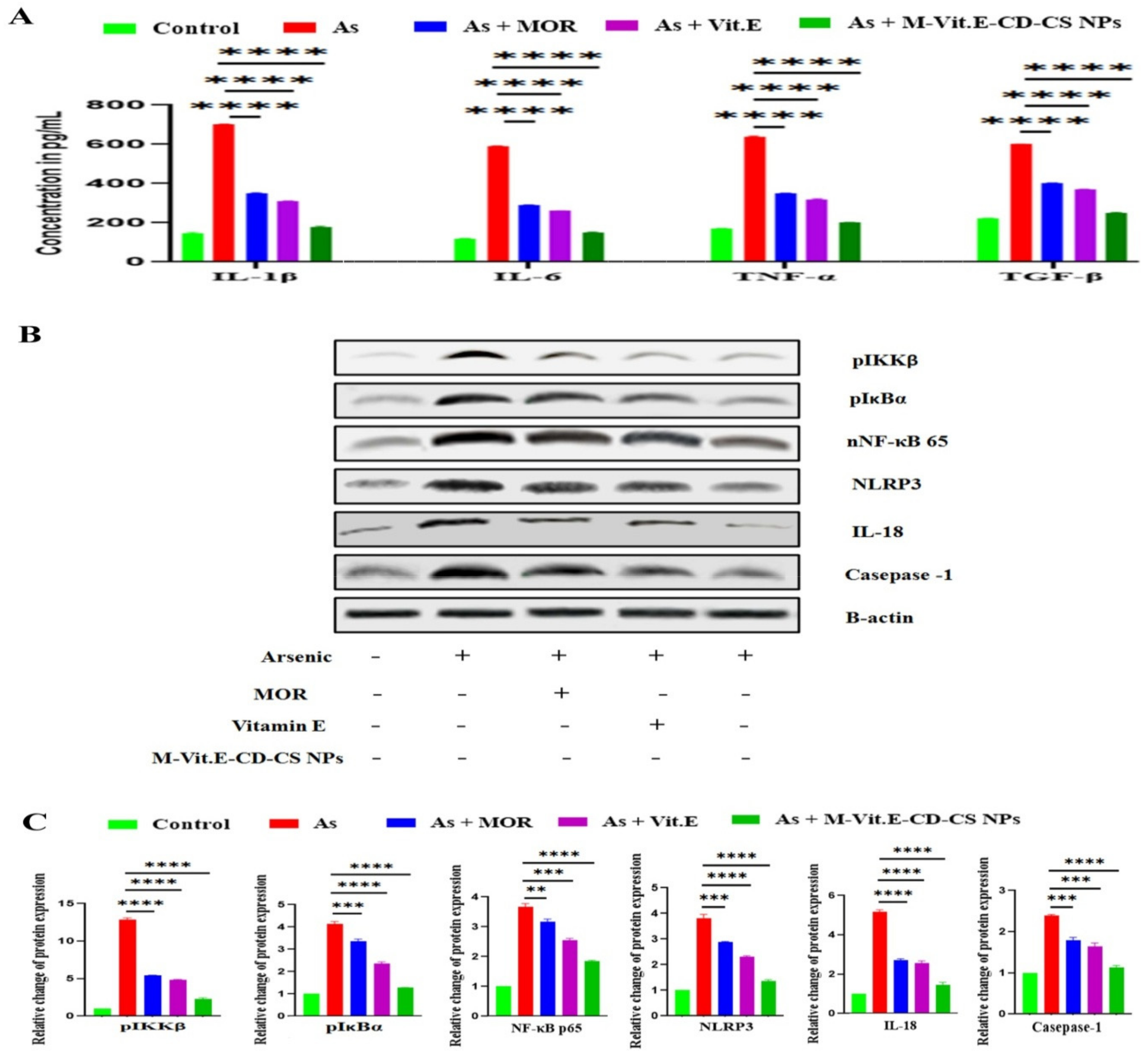 Molecules 27 05819 g007