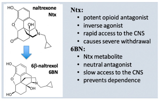 supplements that mimic glp-1 Natural GLP-1 Support & Cravings Control from Potent Plants • Ora main image 1