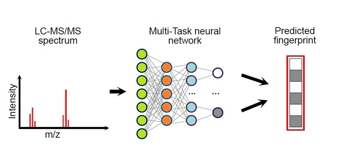 Molecules | Free Full-Text | Multi-Task Neural Networks and Molecular ...