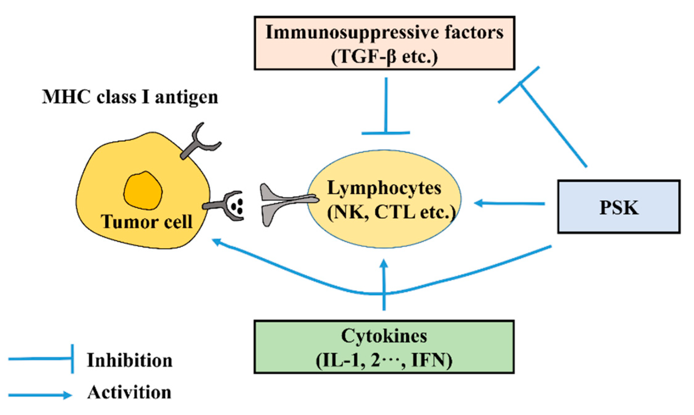 Molecules 27 05828 g002 Molecules 27 05828 g002