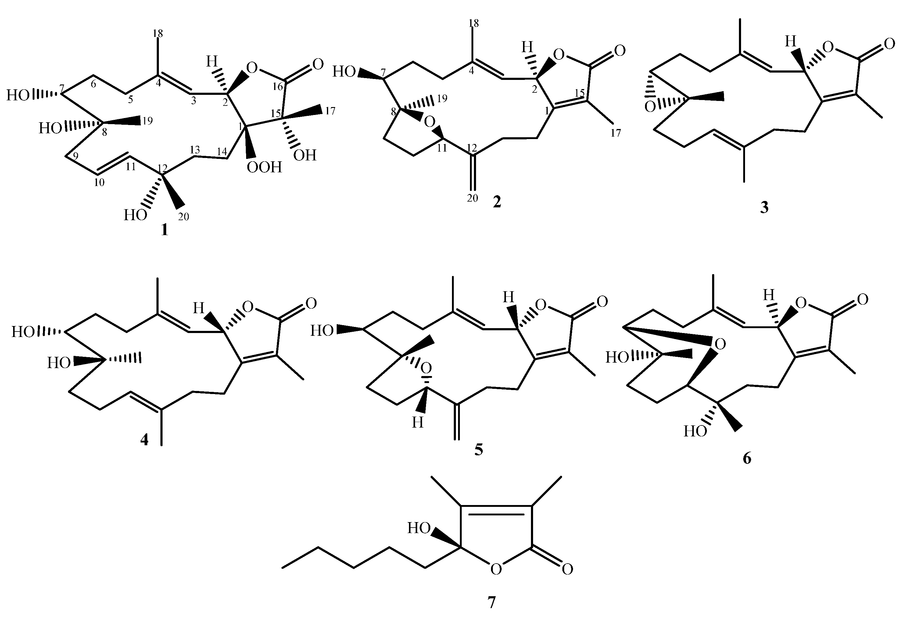 Molecules 27 05835 g001