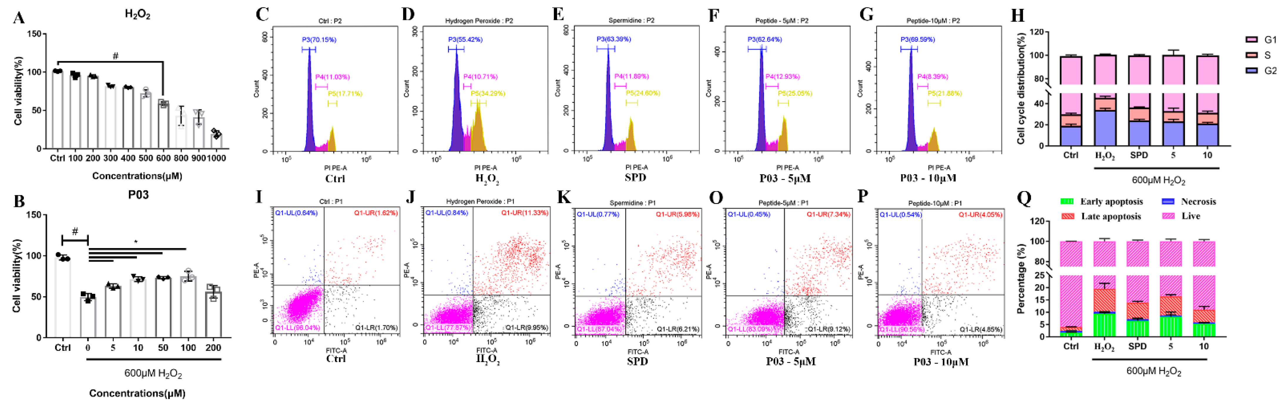 Molecules 27 05839 g001