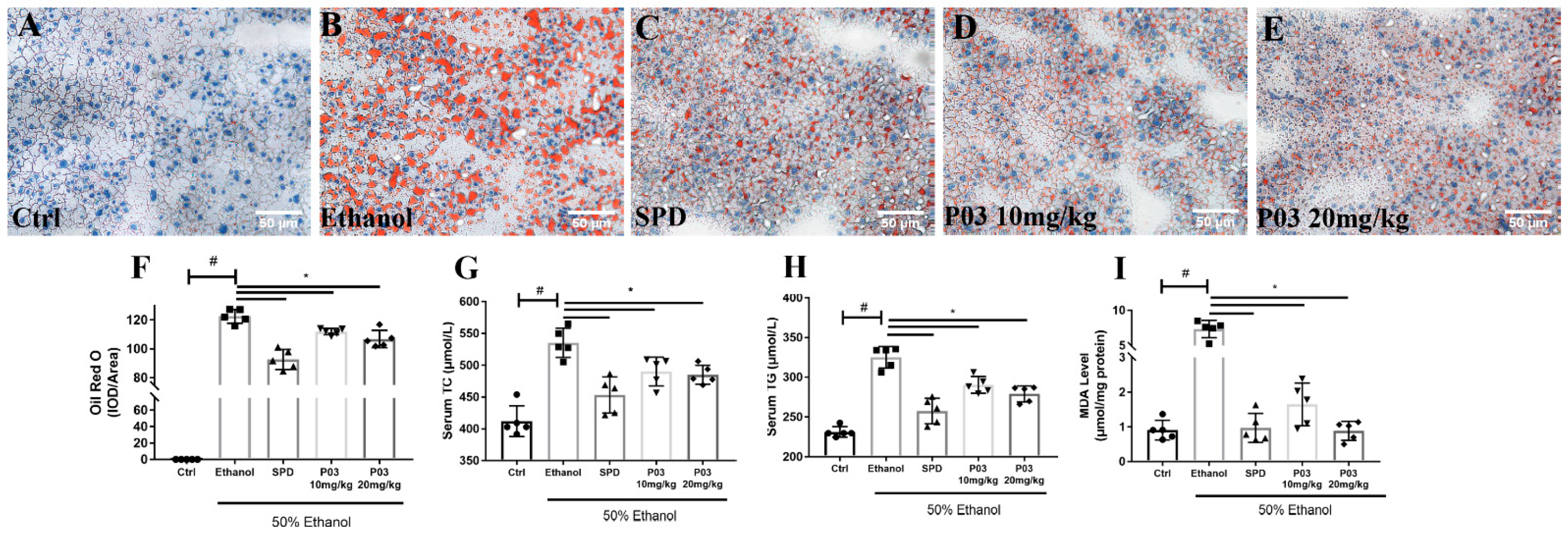 Molecules 27 05839 g005