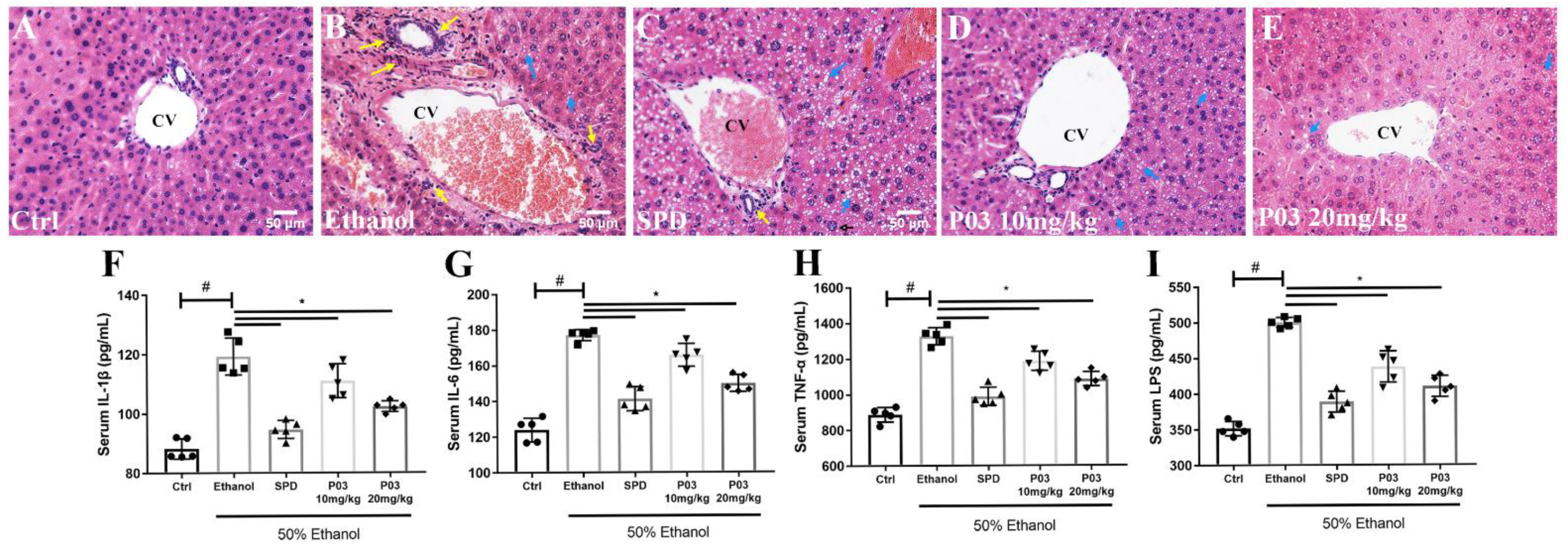 Molecules 27 05839 g006